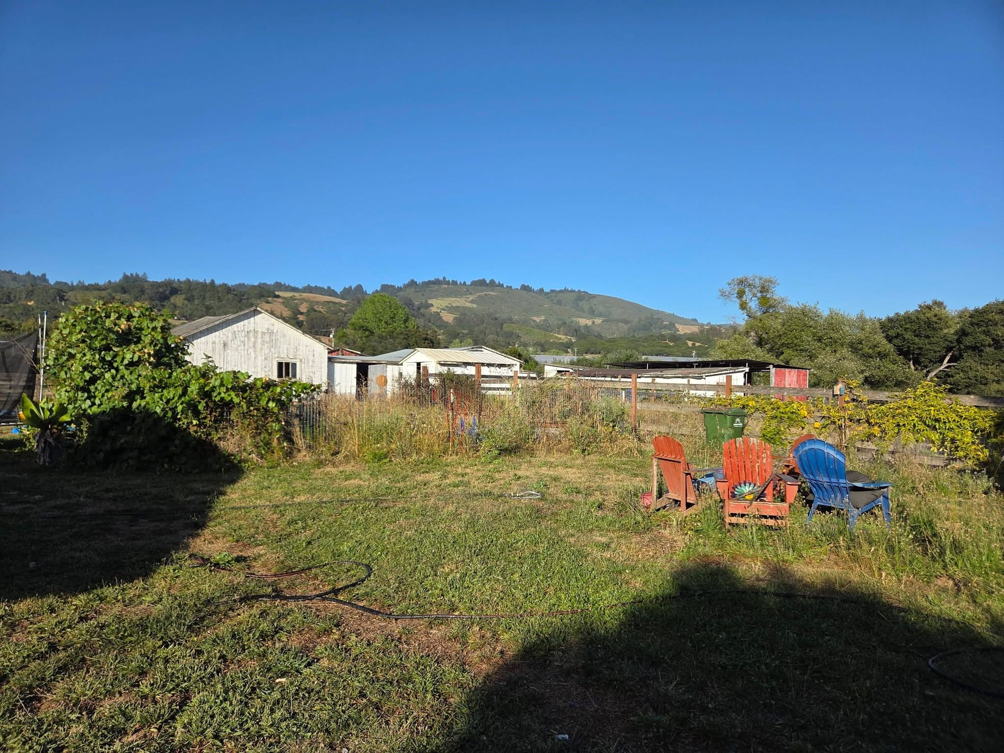 Little Ohana Farms