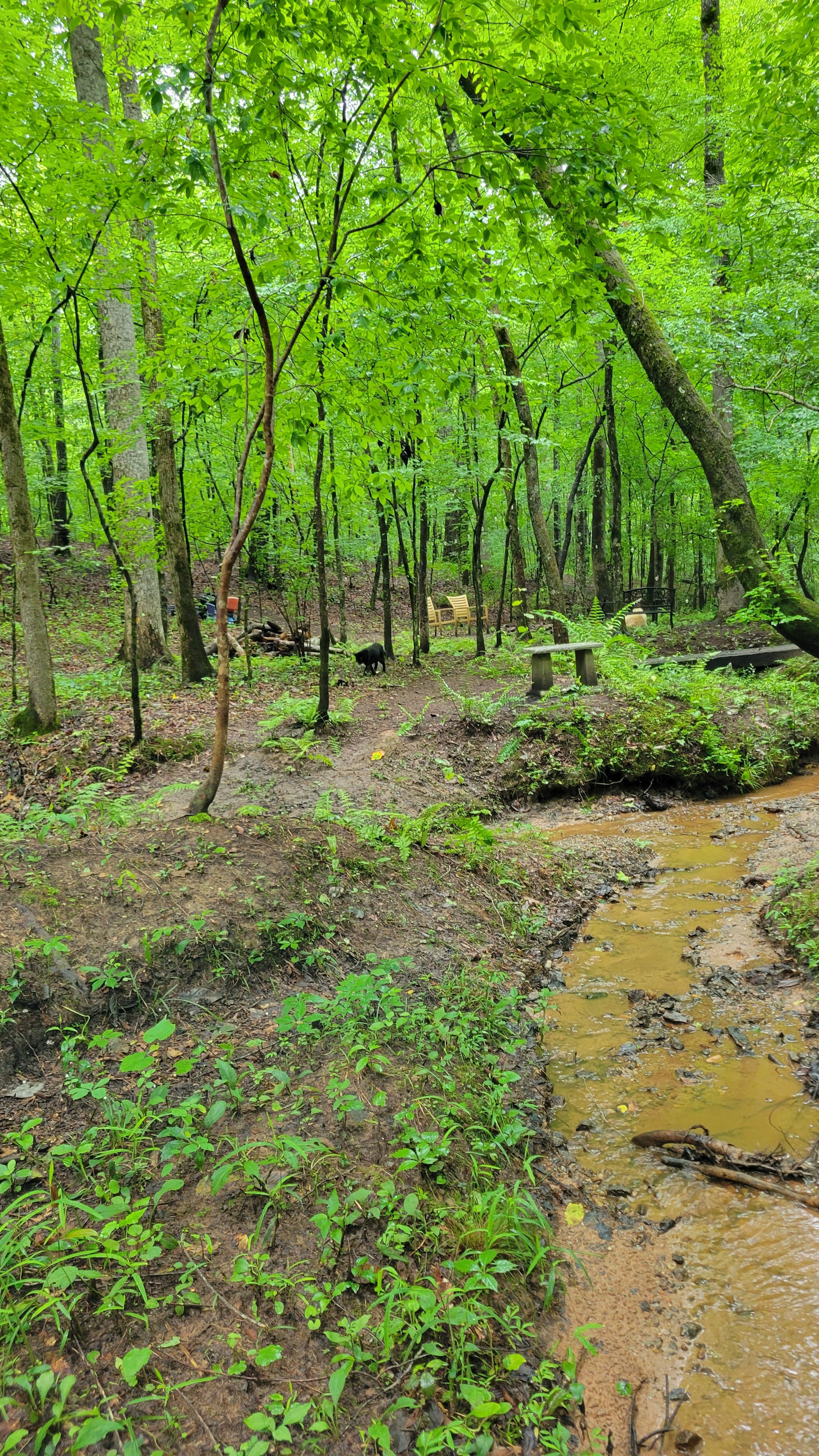 Lucv Creek Retreat