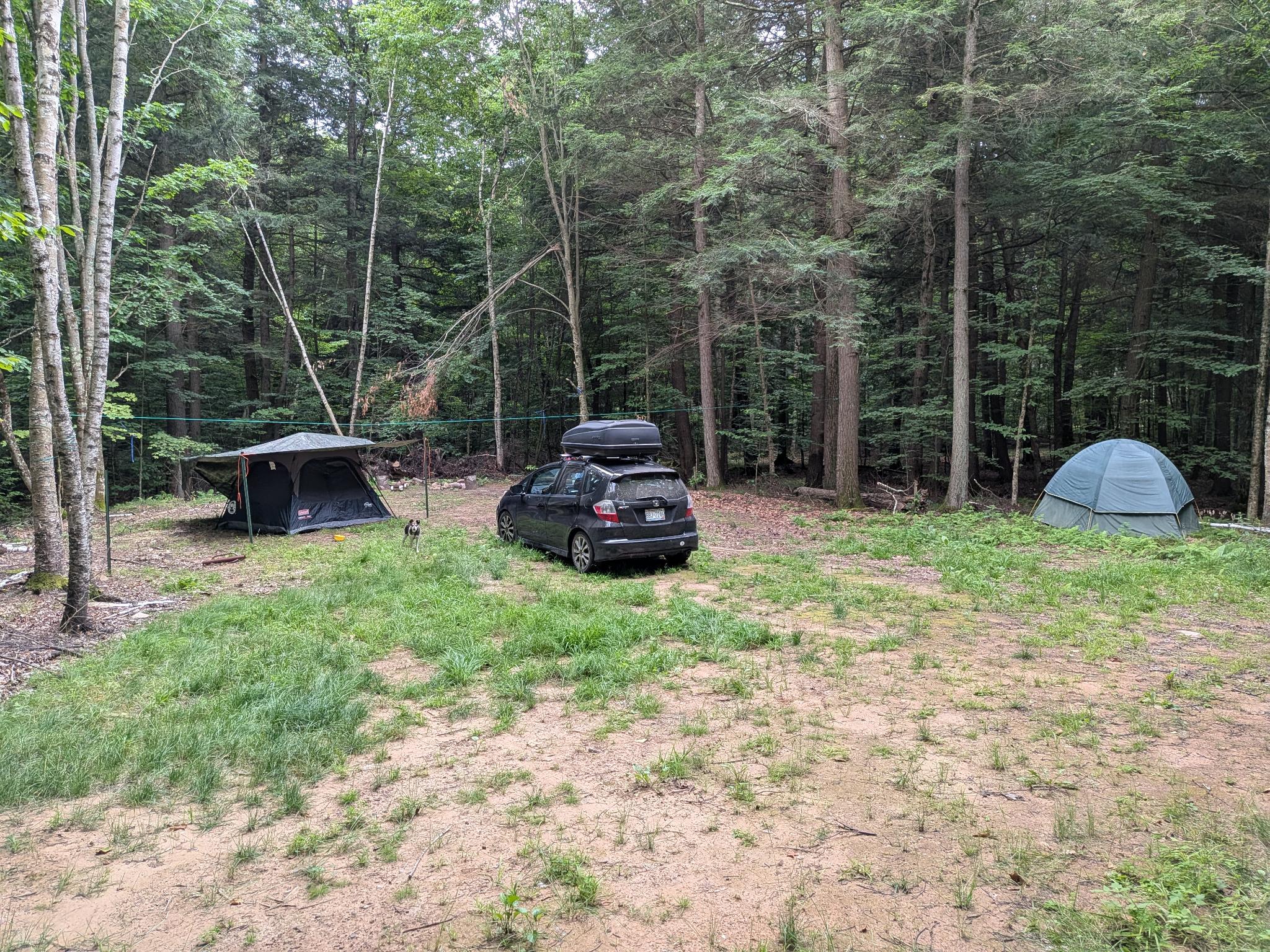 Abby's Peshtigo River Camp