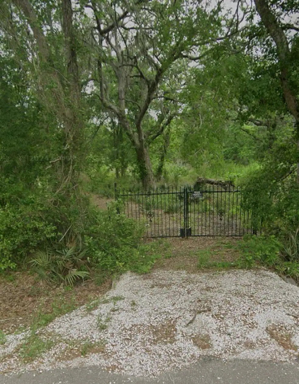 Wild Peach Open Land — Brazoria