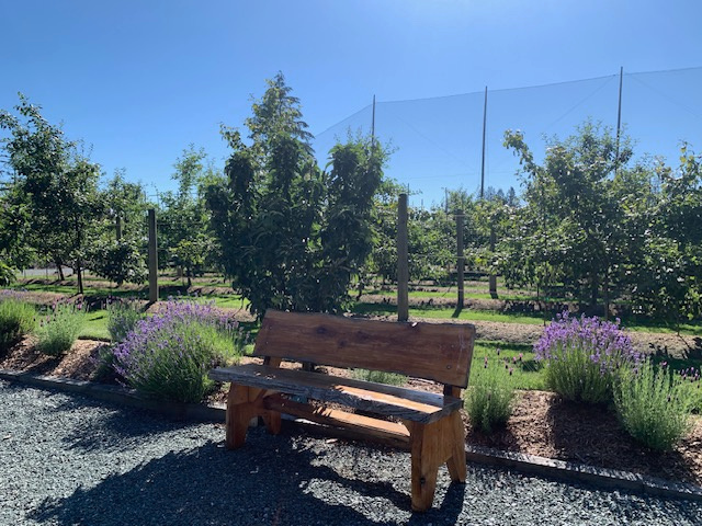 The Orchard