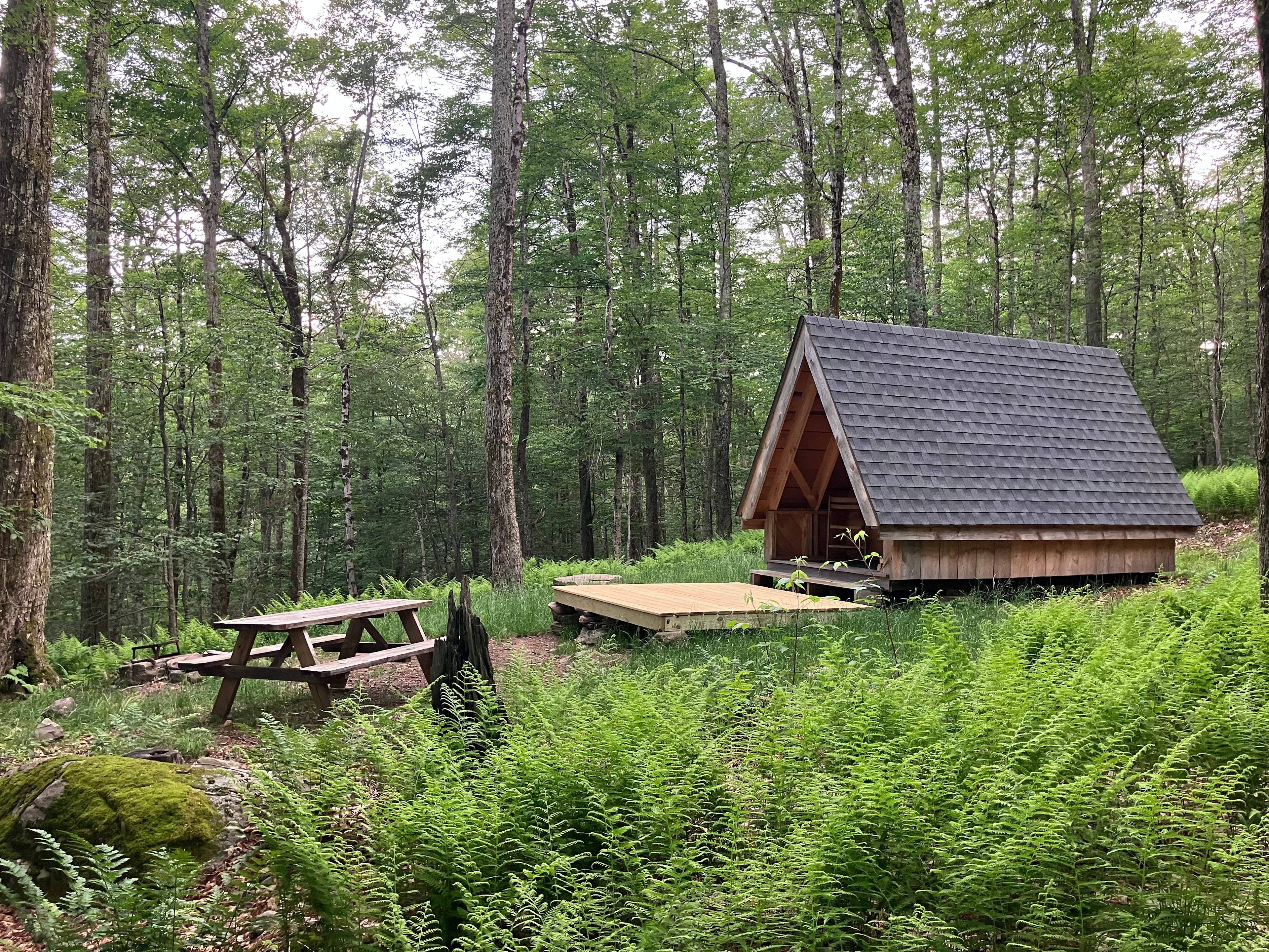 Burr Oaks Forest secluded campsites