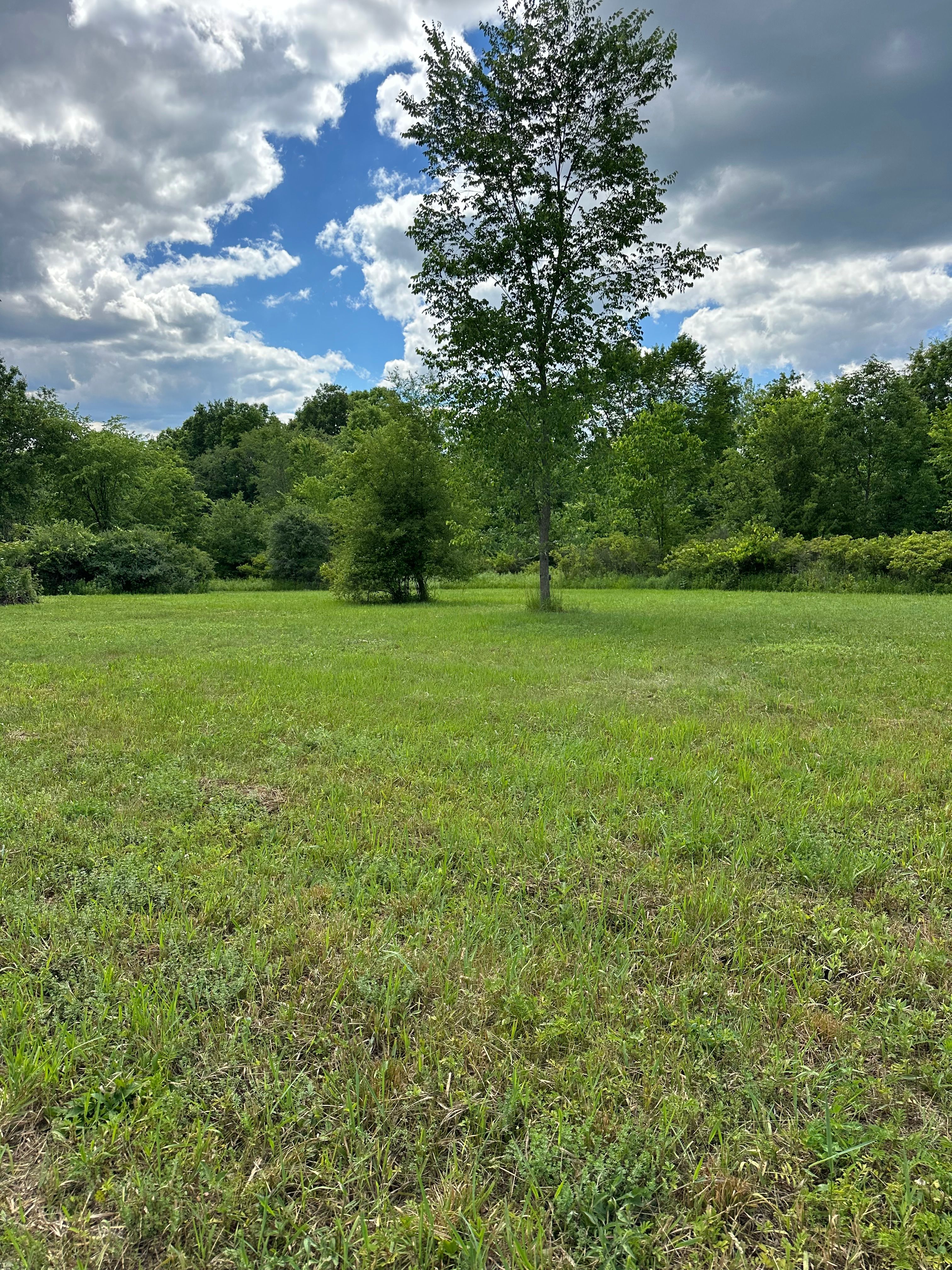 Pneuma Acres