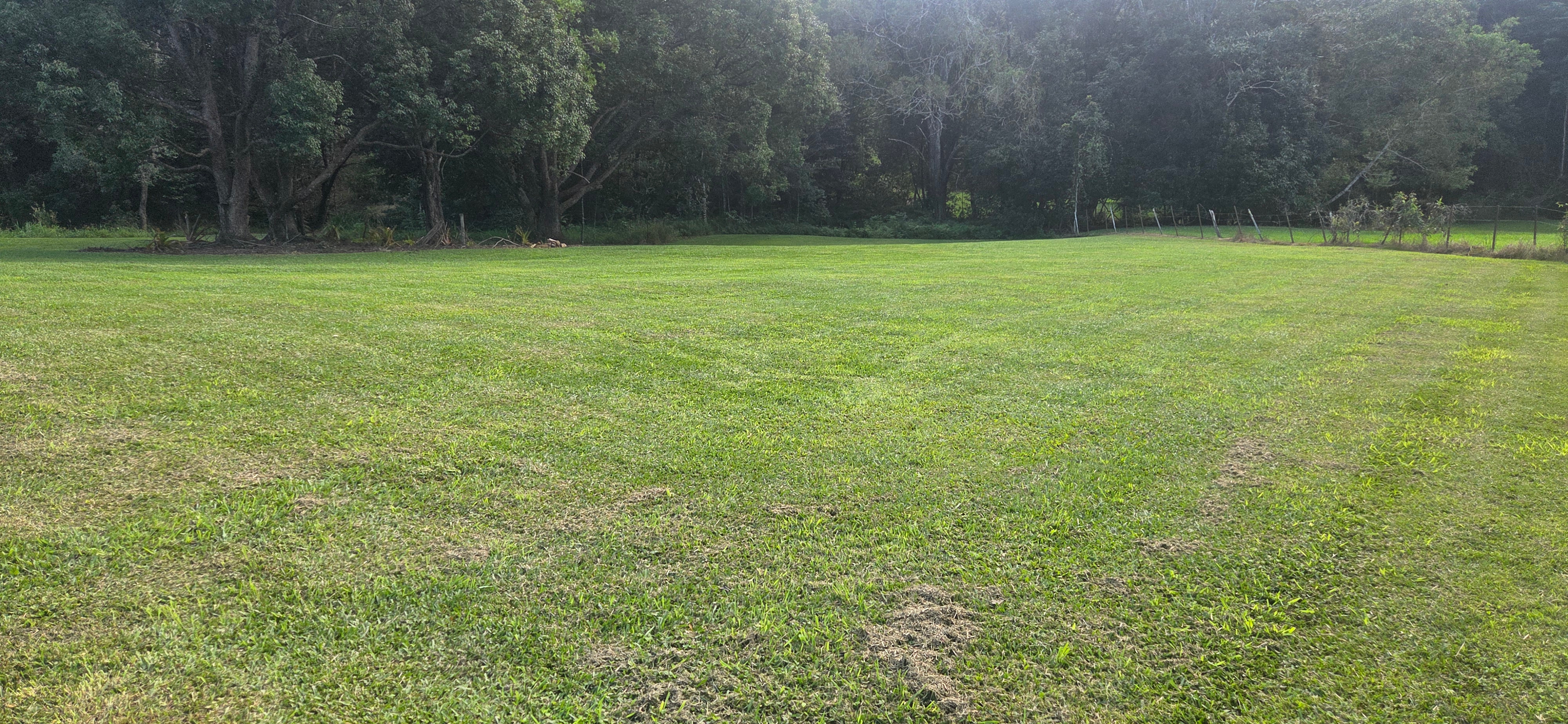Hills on Lawnville