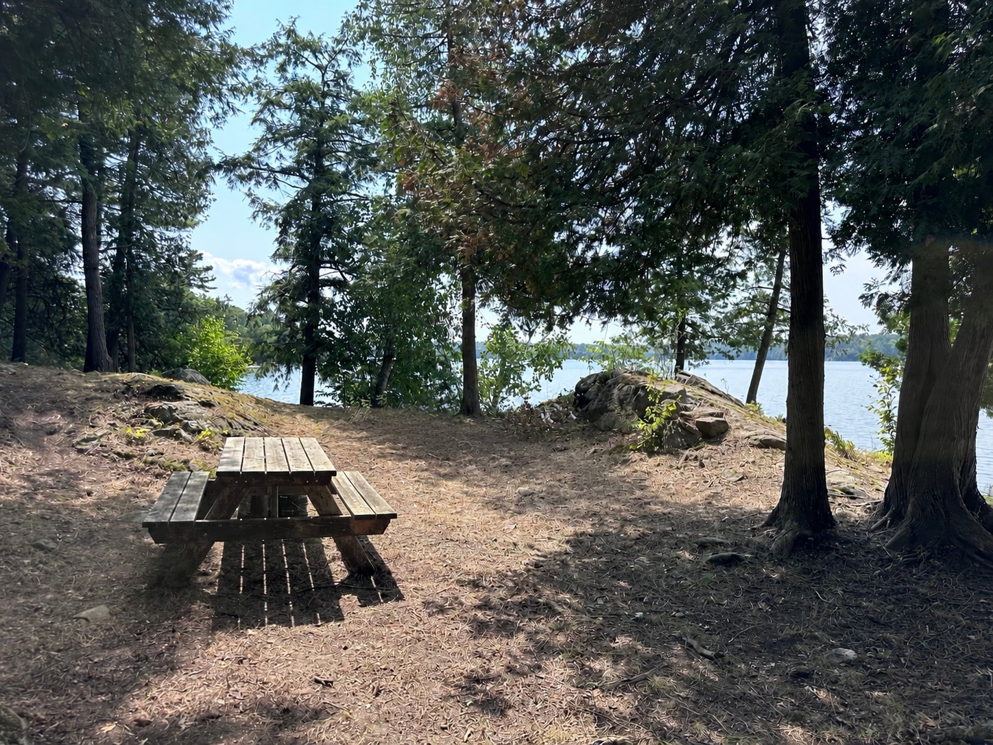 Cedar Cove Campsite