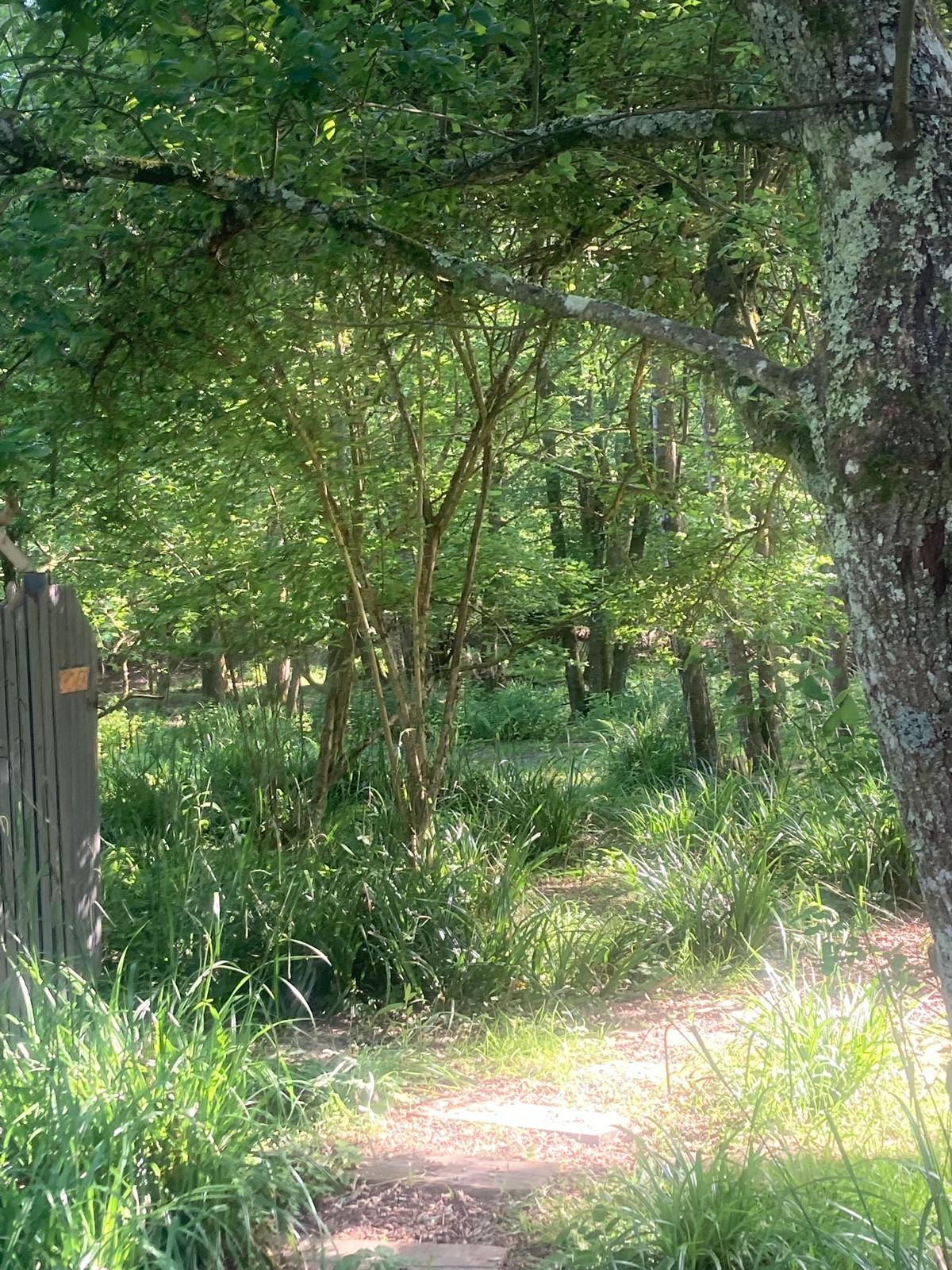 Field and Fallow Pop-Up Campsite