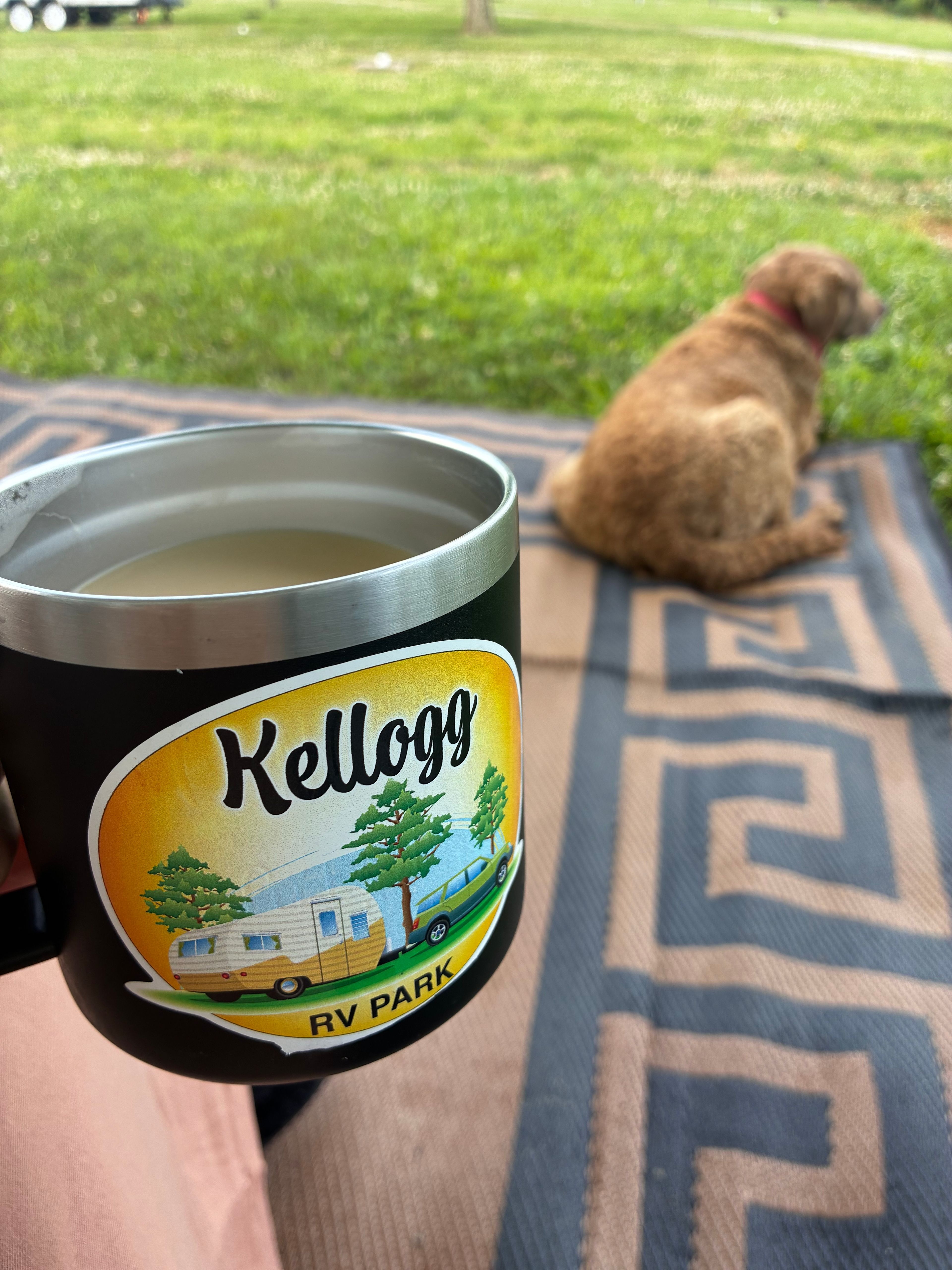 Morning coffee and dog approved