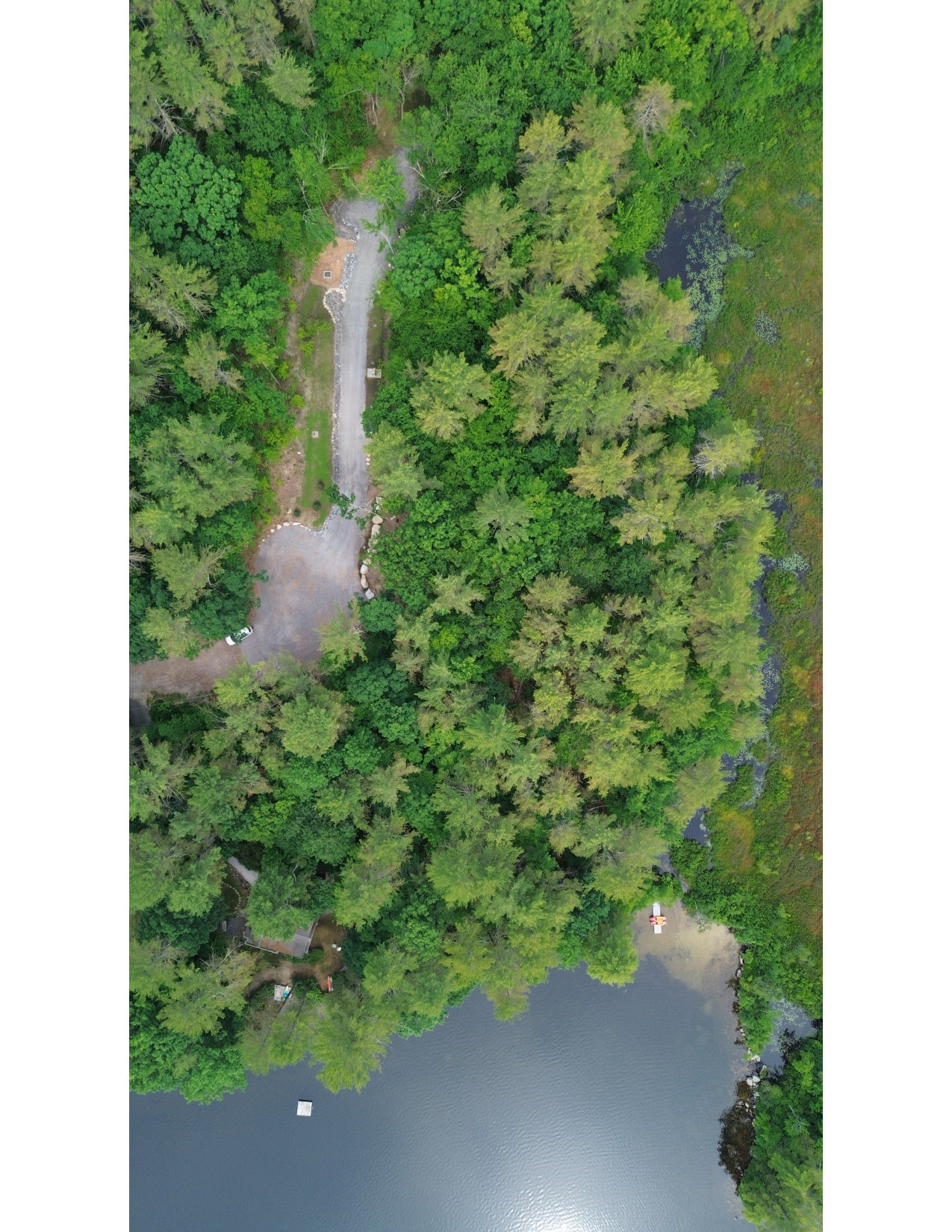 The Queen's Property on Thomas Pond