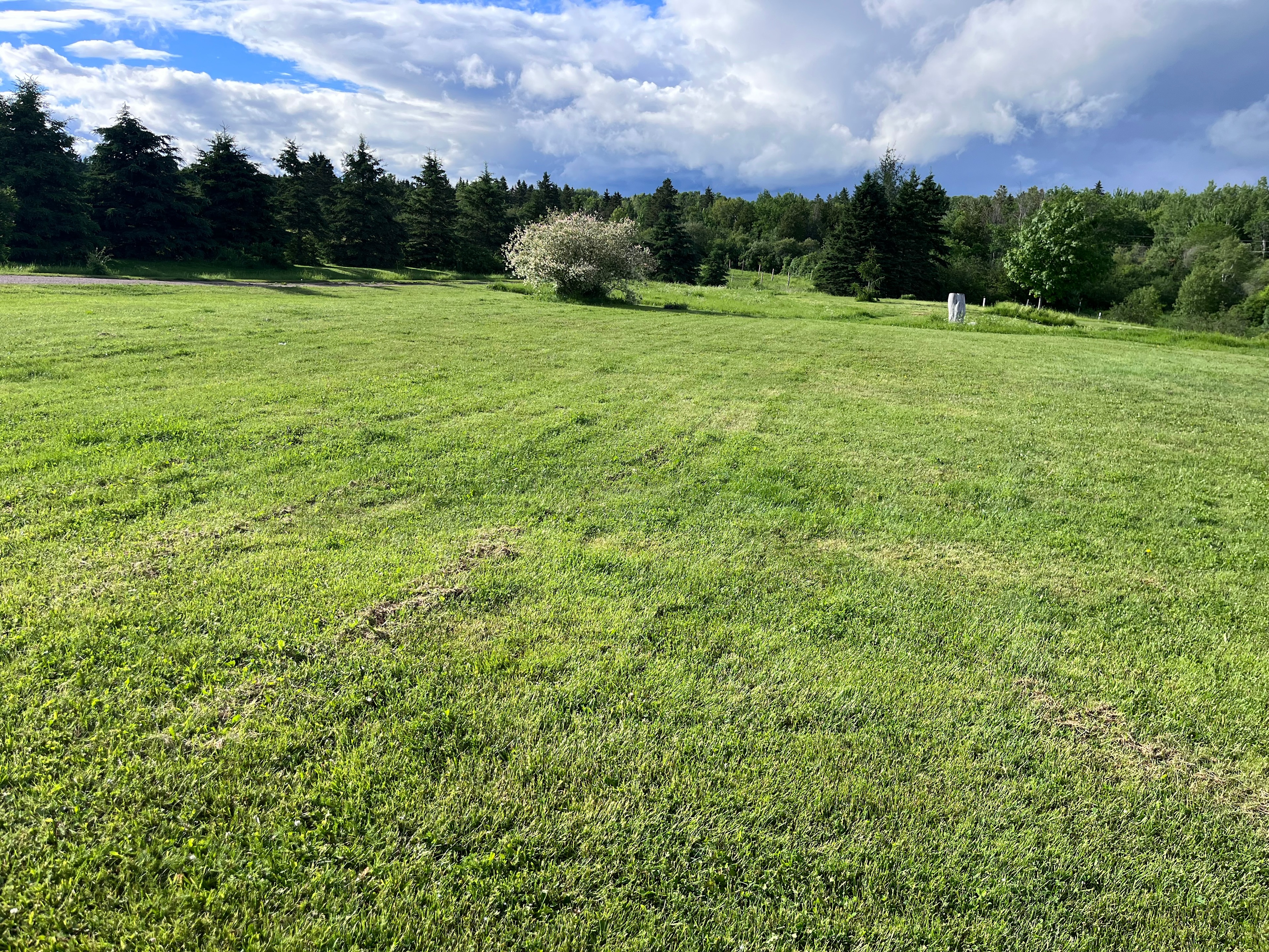 Spruce Lane Farms