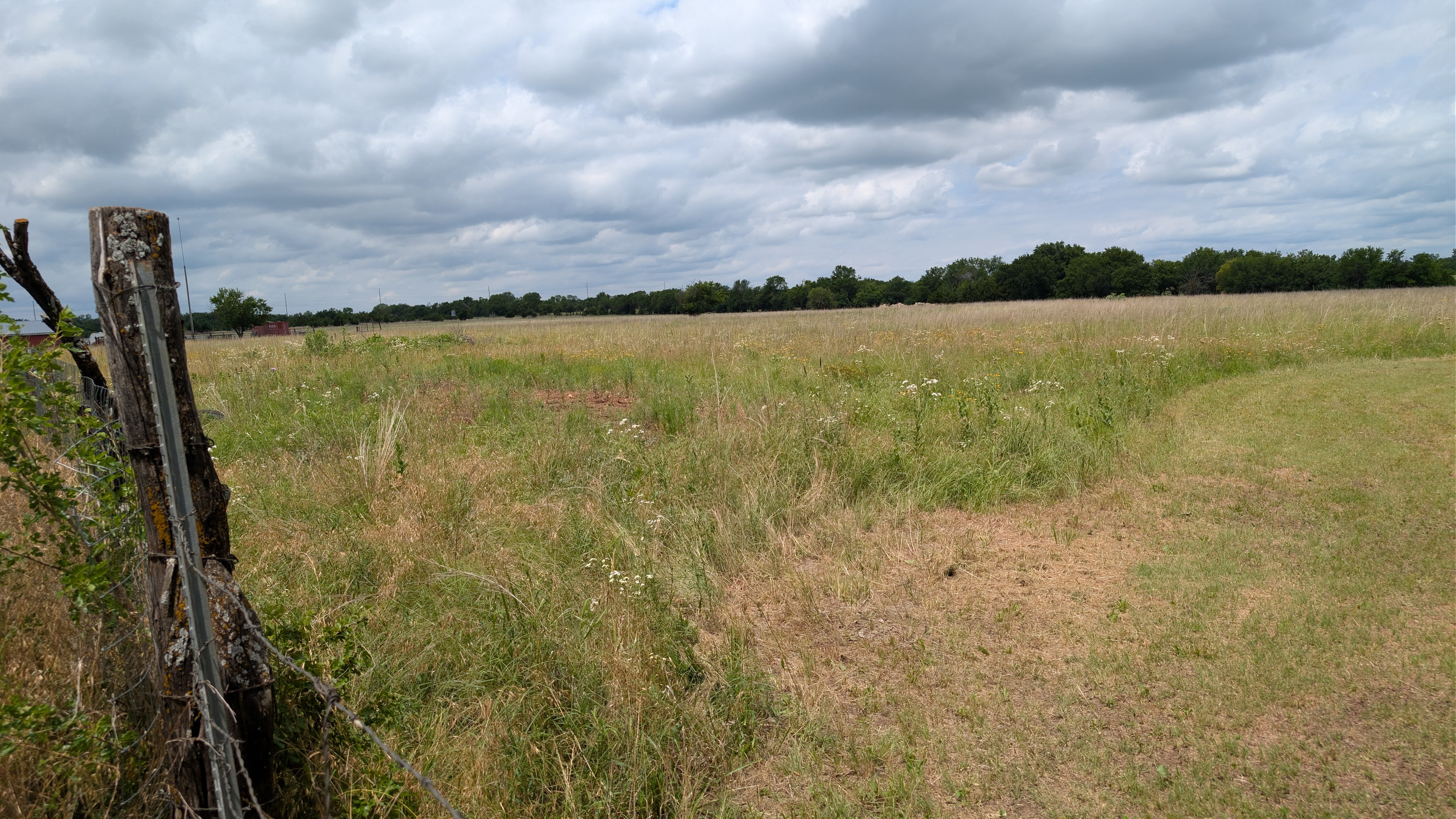 MST Ranch