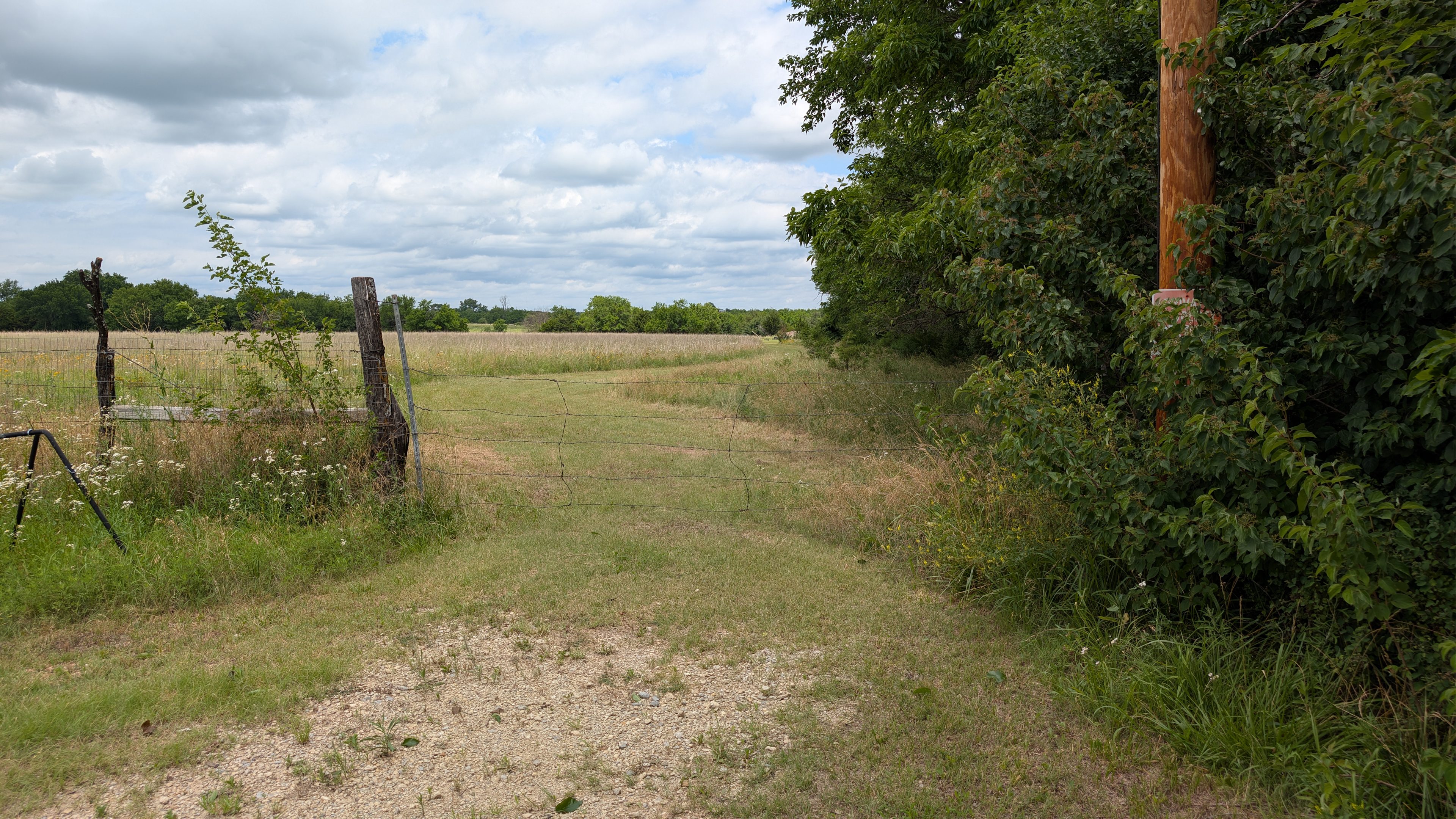 MST Ranch
