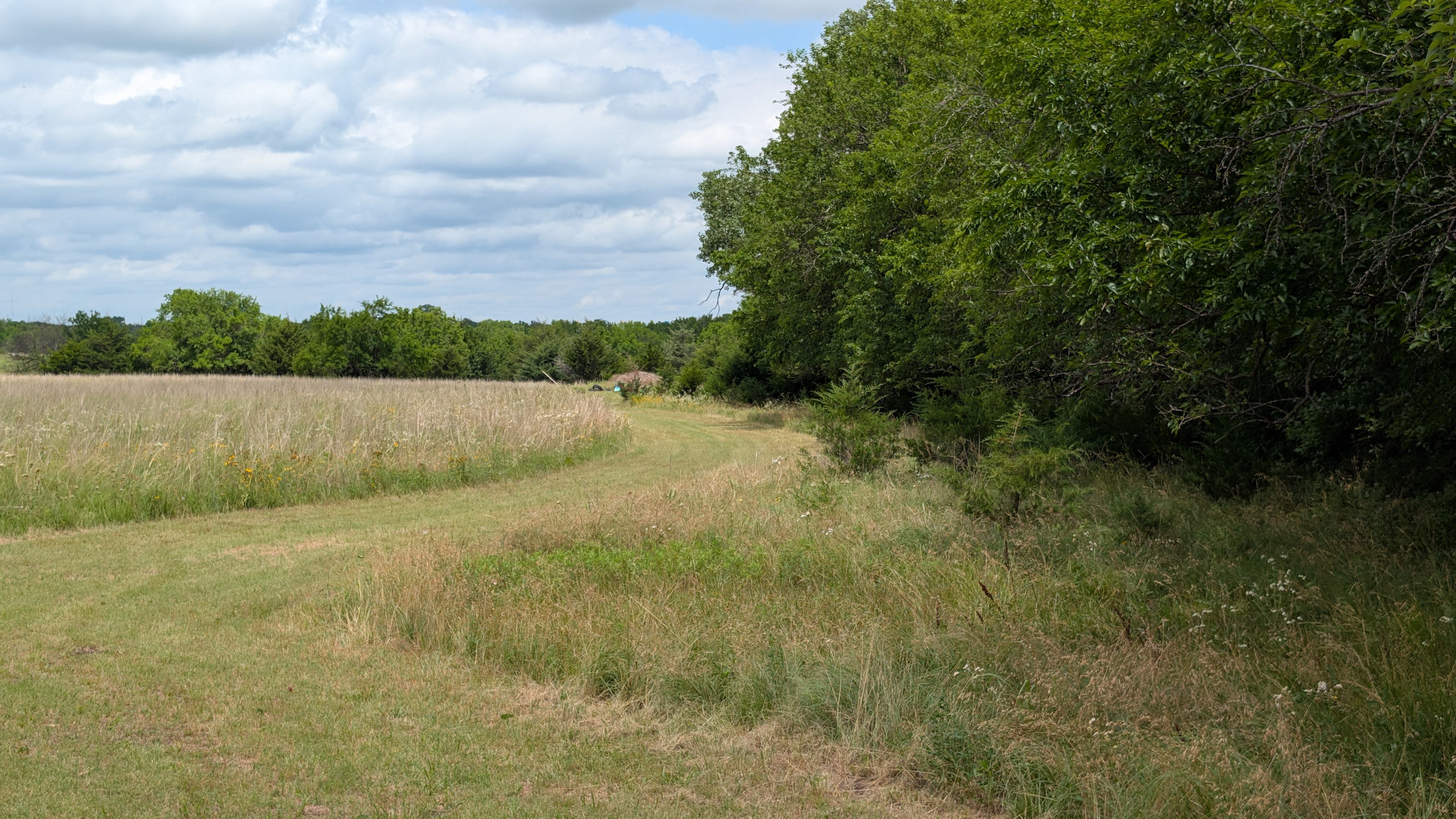 MST Ranch