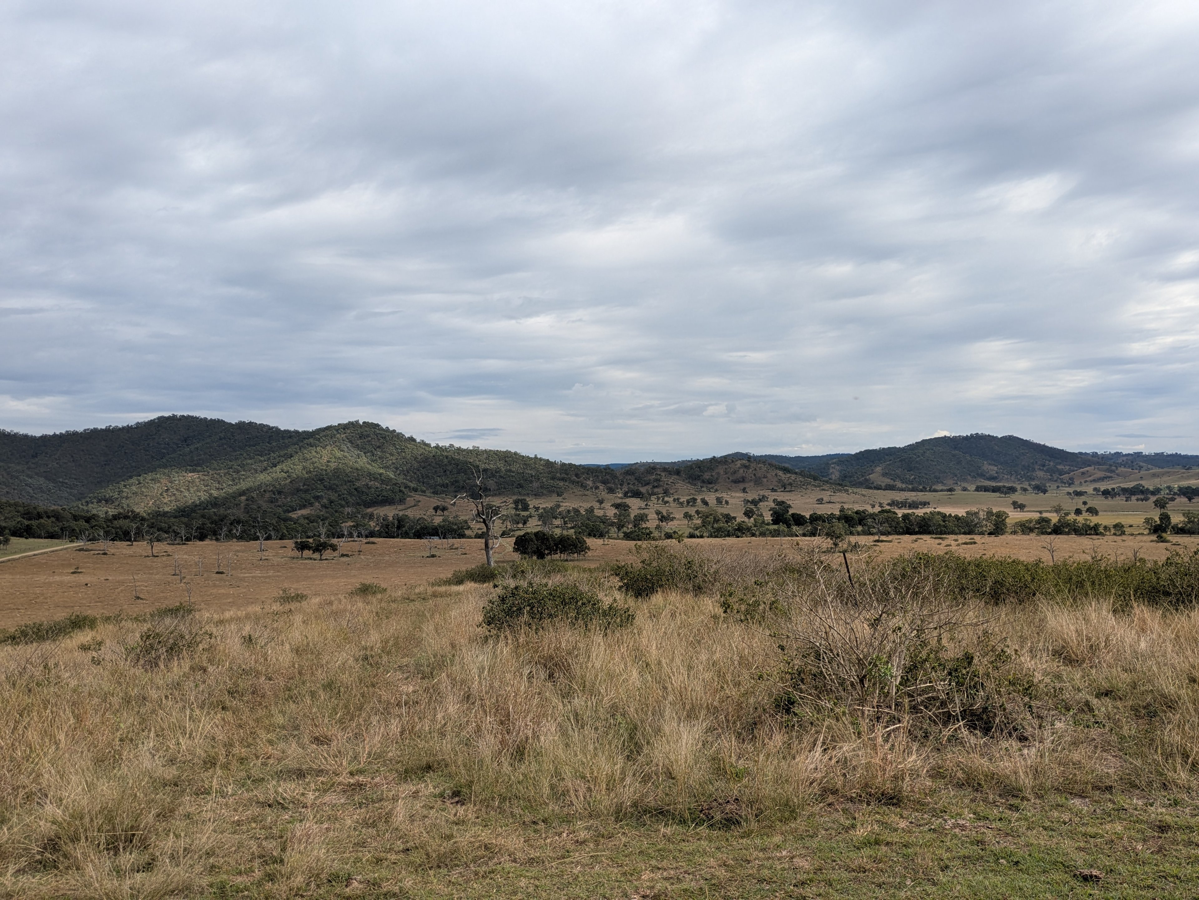 Emu Creek Farm