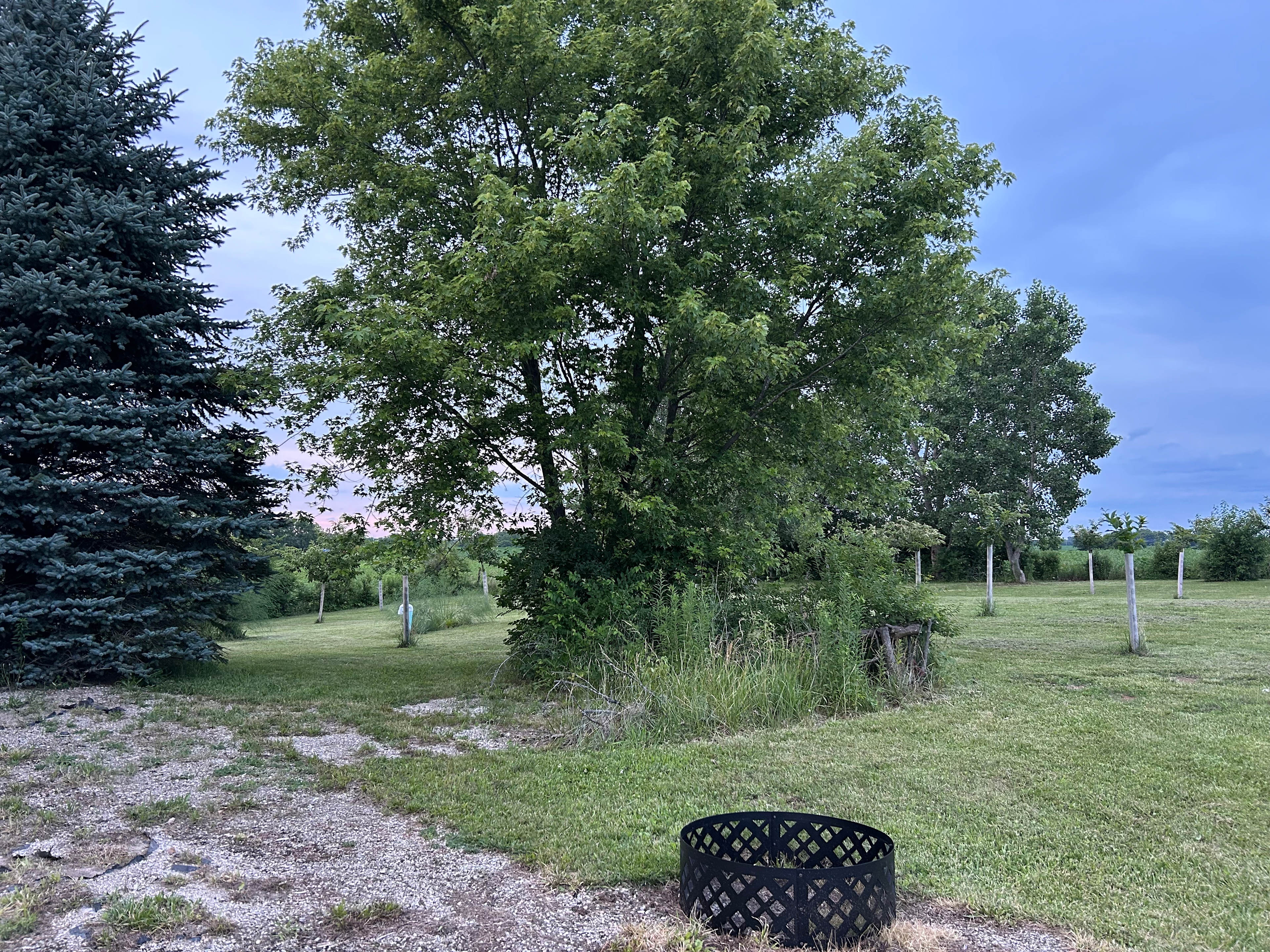 Quiet country RV/Tent site