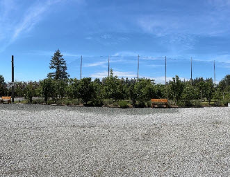 The Orchard