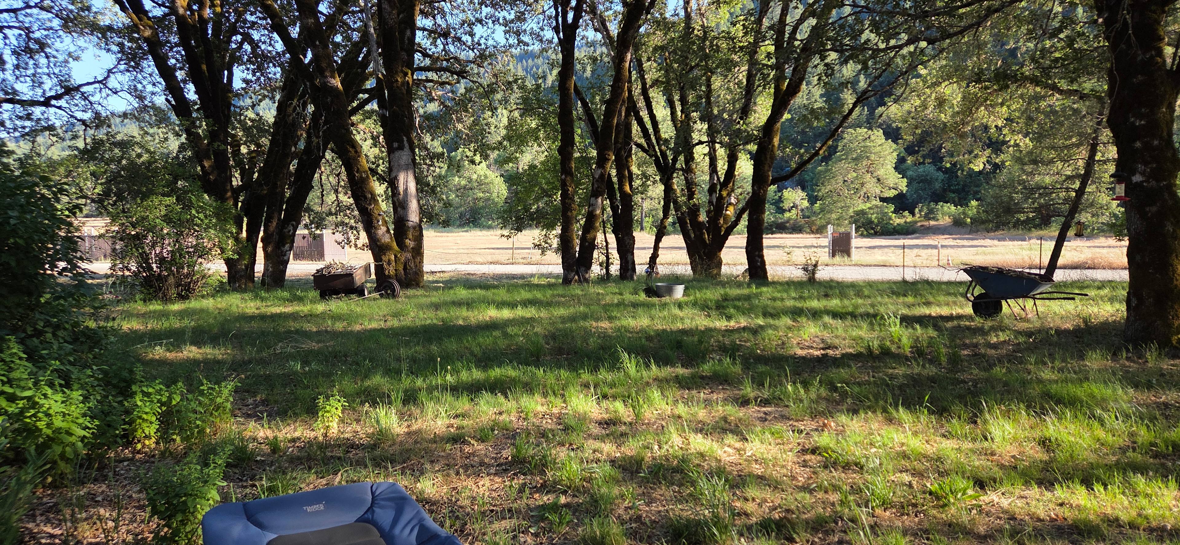 Front yard of common use area. Looking across to Rav/Camp site. River is behind the trees :) Available for camping as well. If interested please contact host and we can create a listing :)