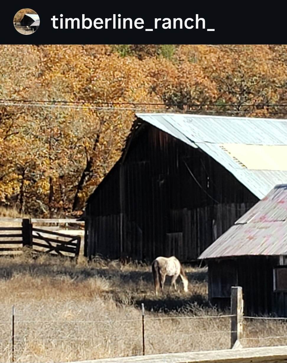 Barn and Horse pasture :)