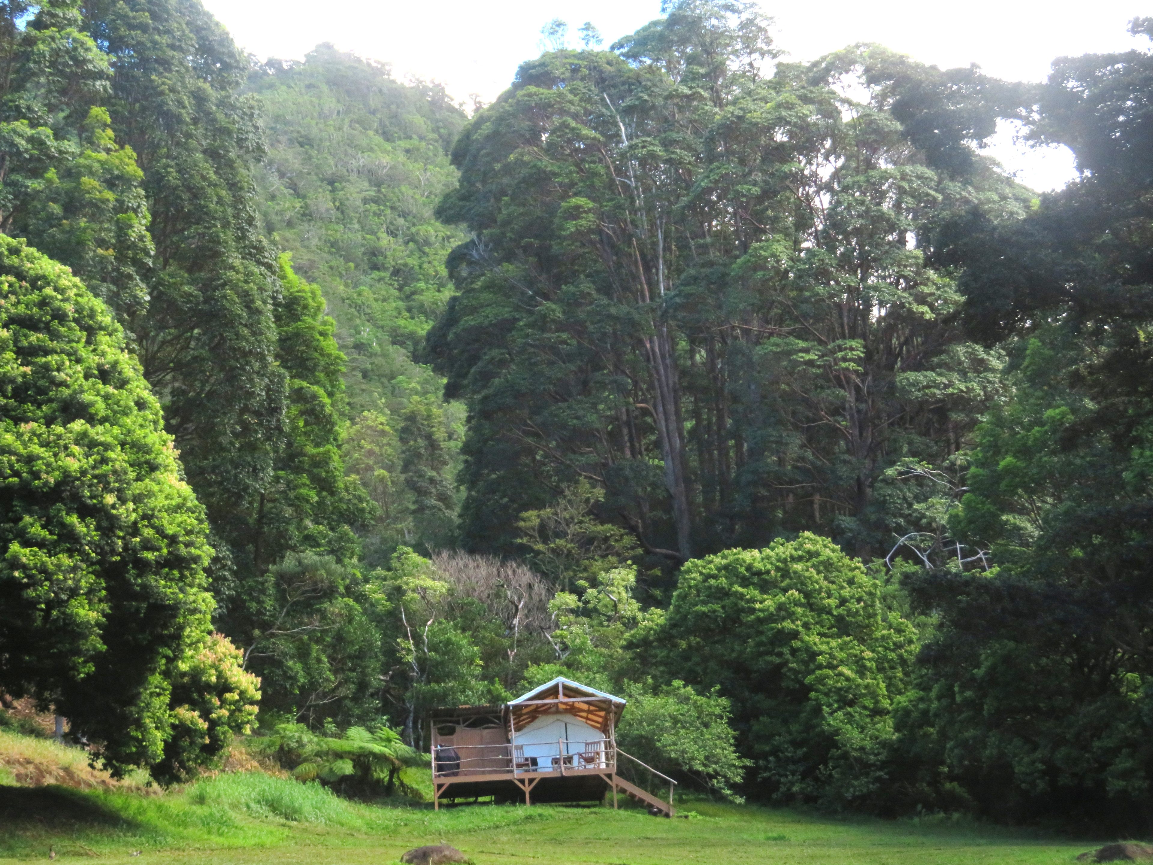 Palolo Paradise Preserve