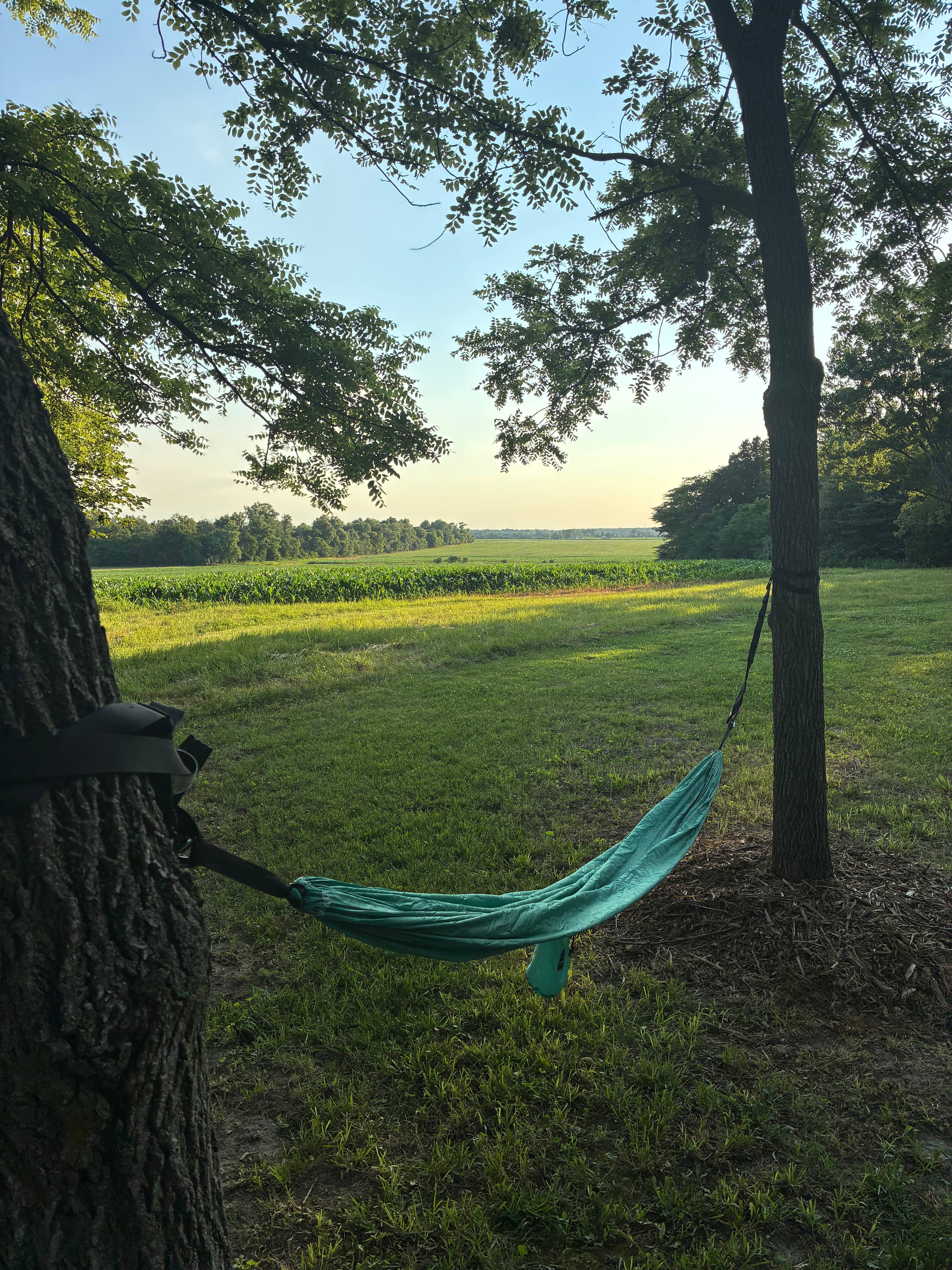 Camp at Fyke Hill