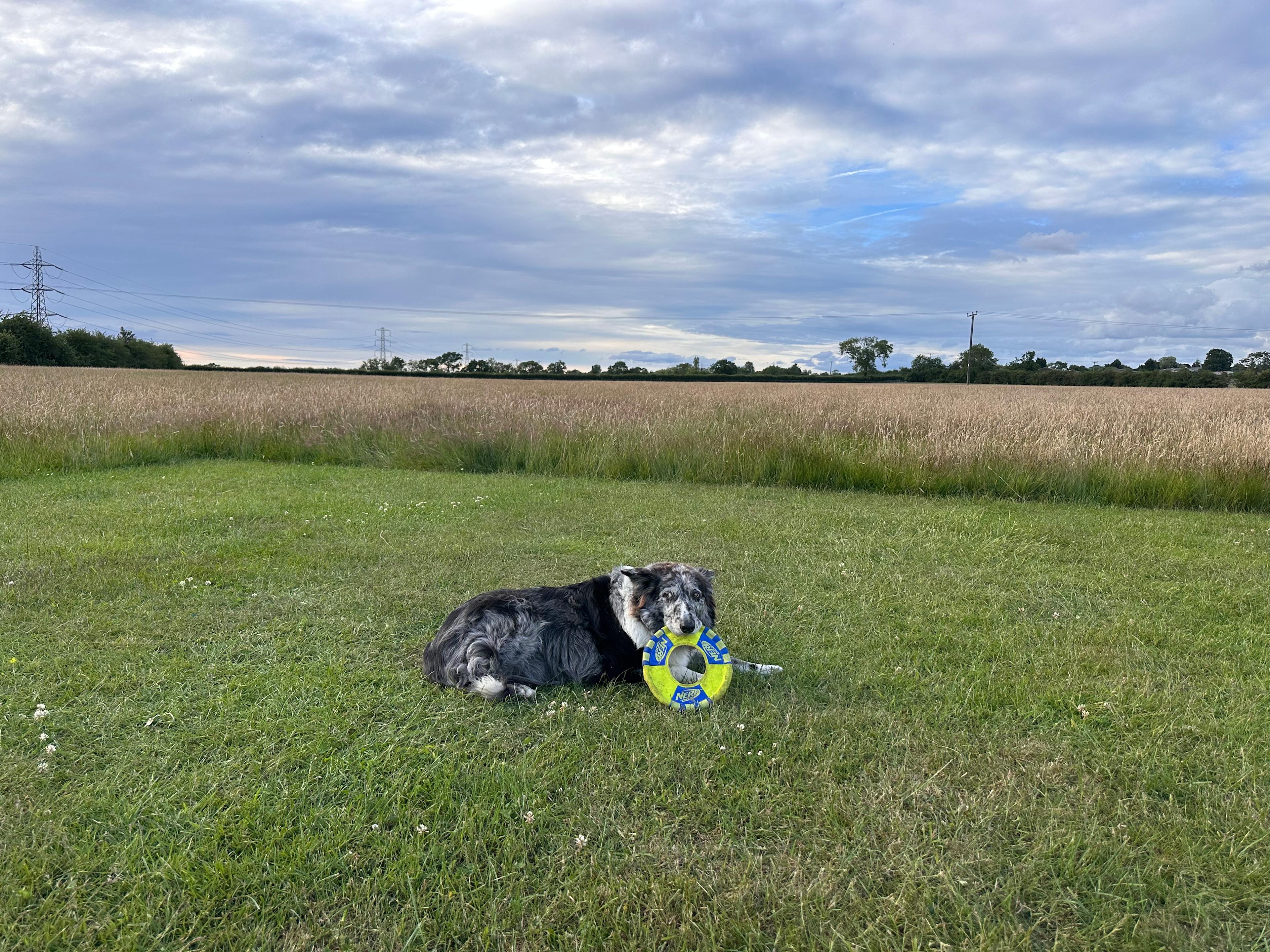 Wild Camping at Cladswell