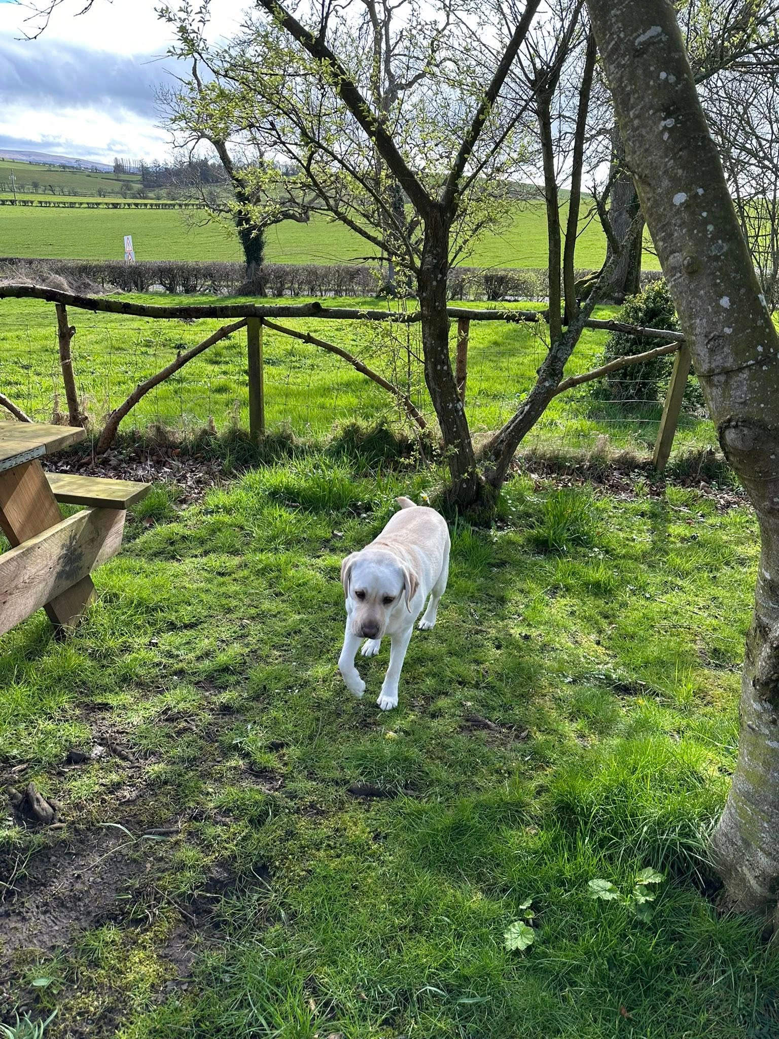 Bracken Barns Glamping and Massage