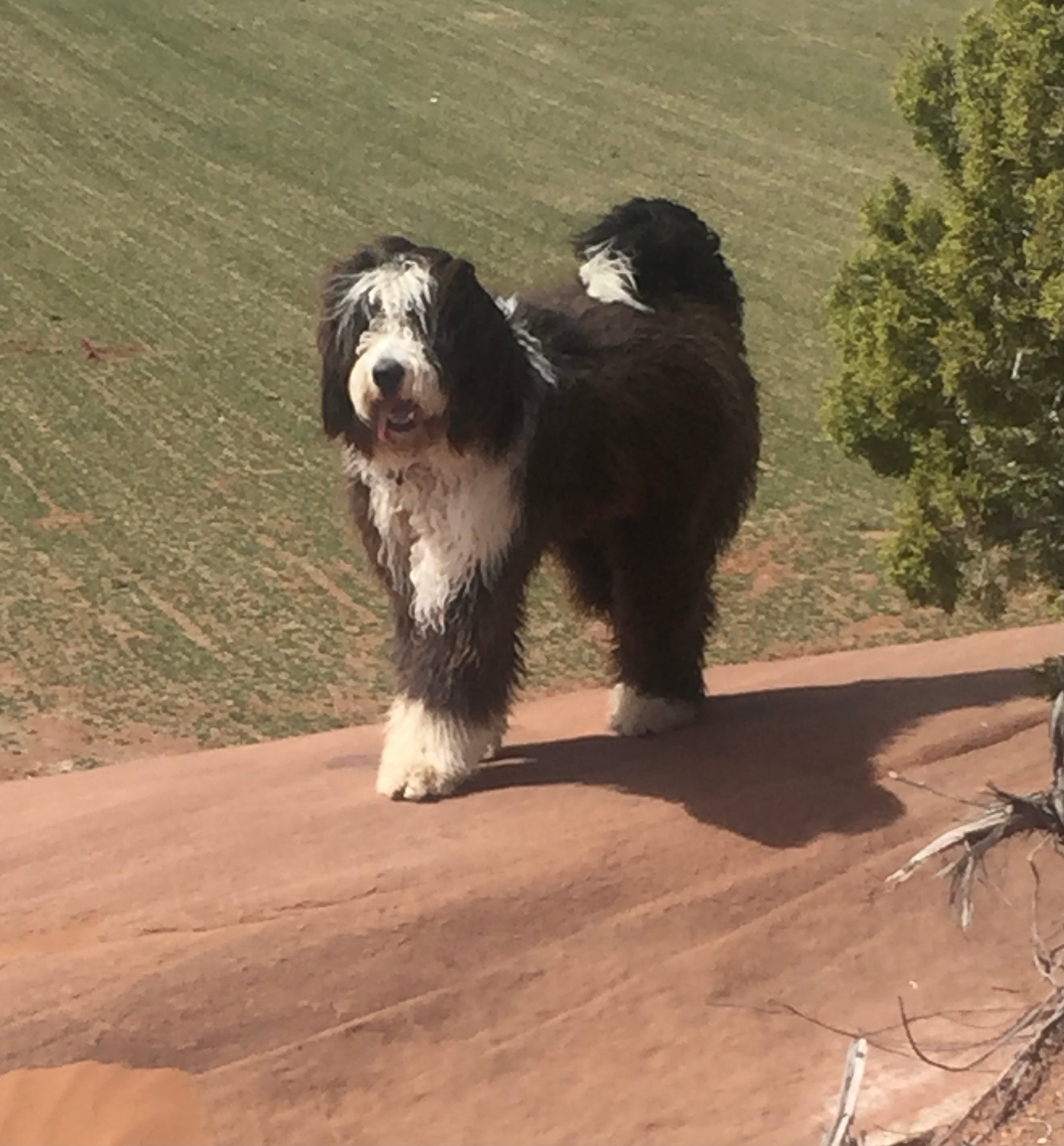 ON THE RED ROCKS IN ESCALANTE