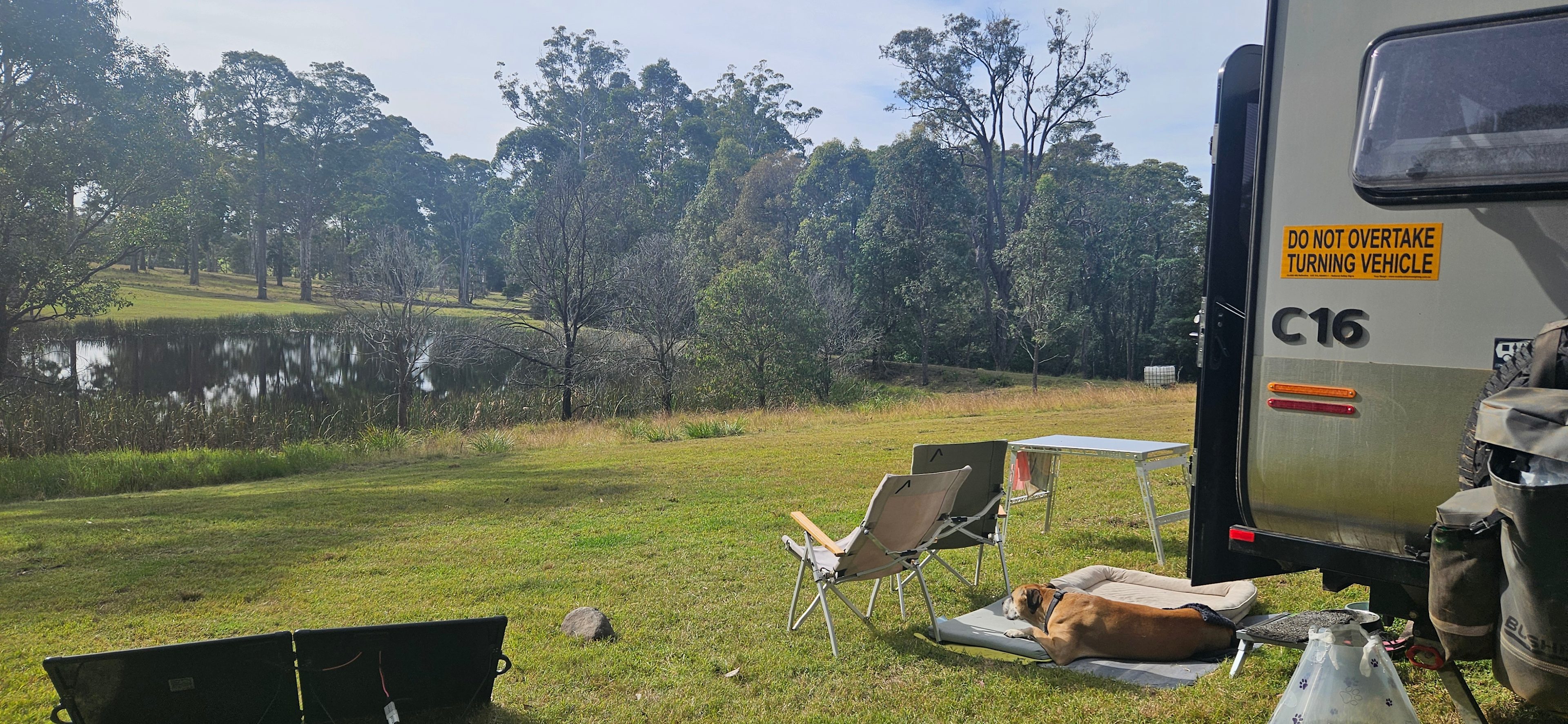Just relaxing in the sun