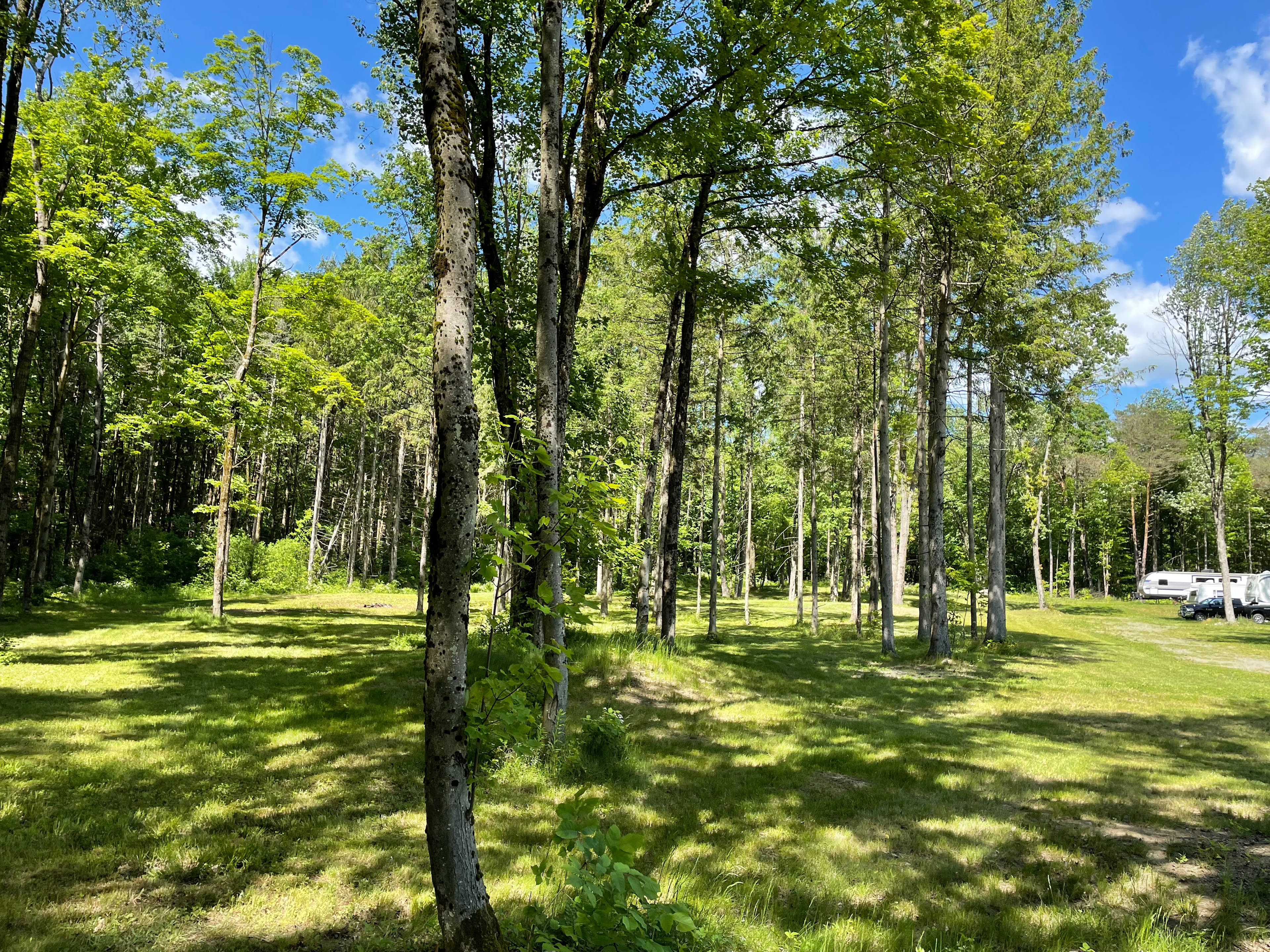 Mid-River Motel & Campground