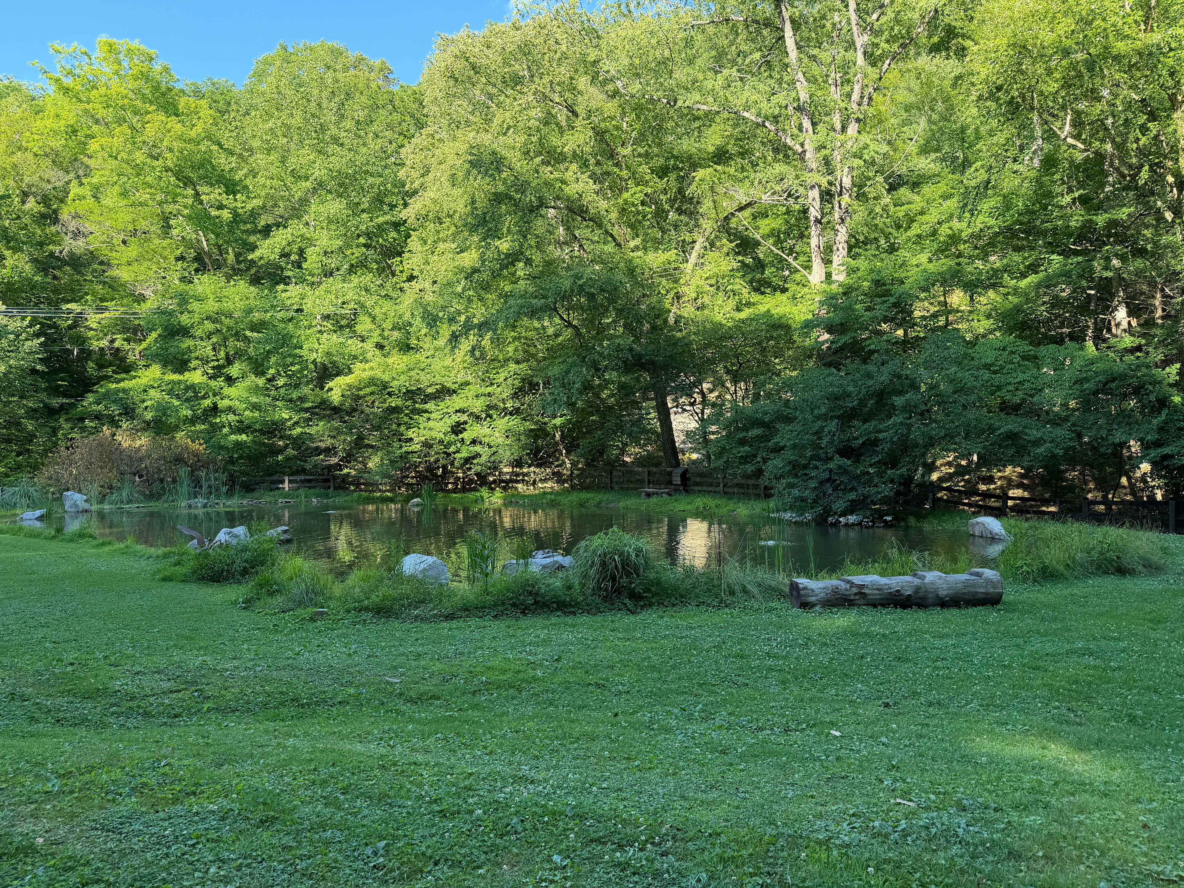 Jones Farm