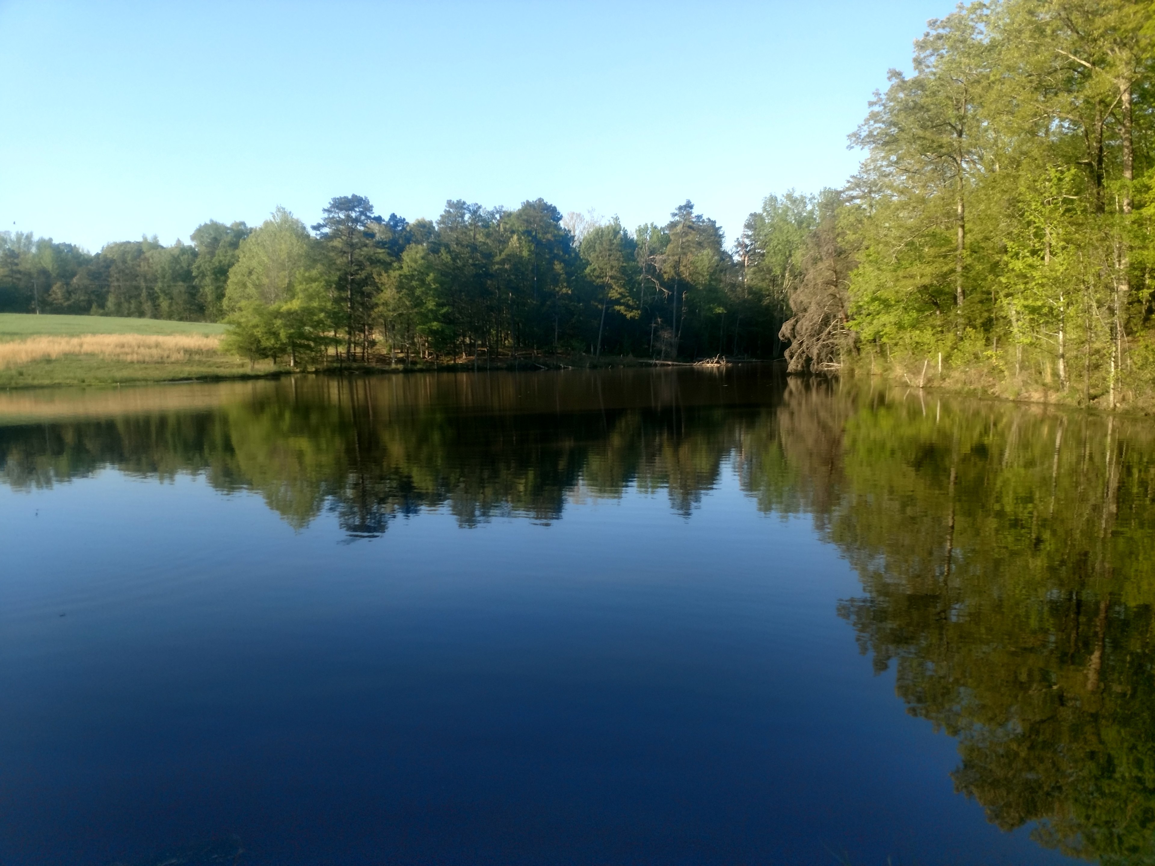 Stanfield Farms