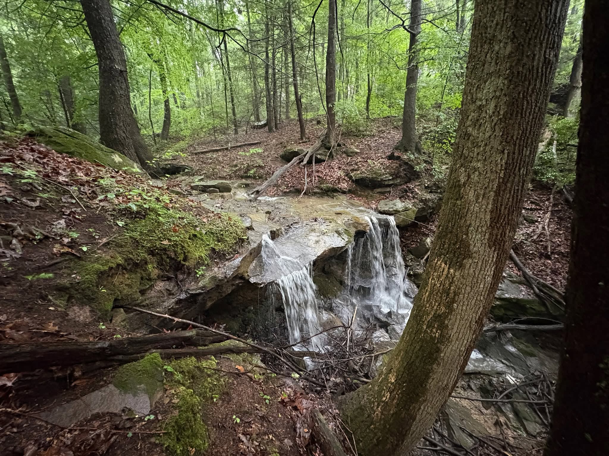 Stillwaters Creek Campground & Cabins