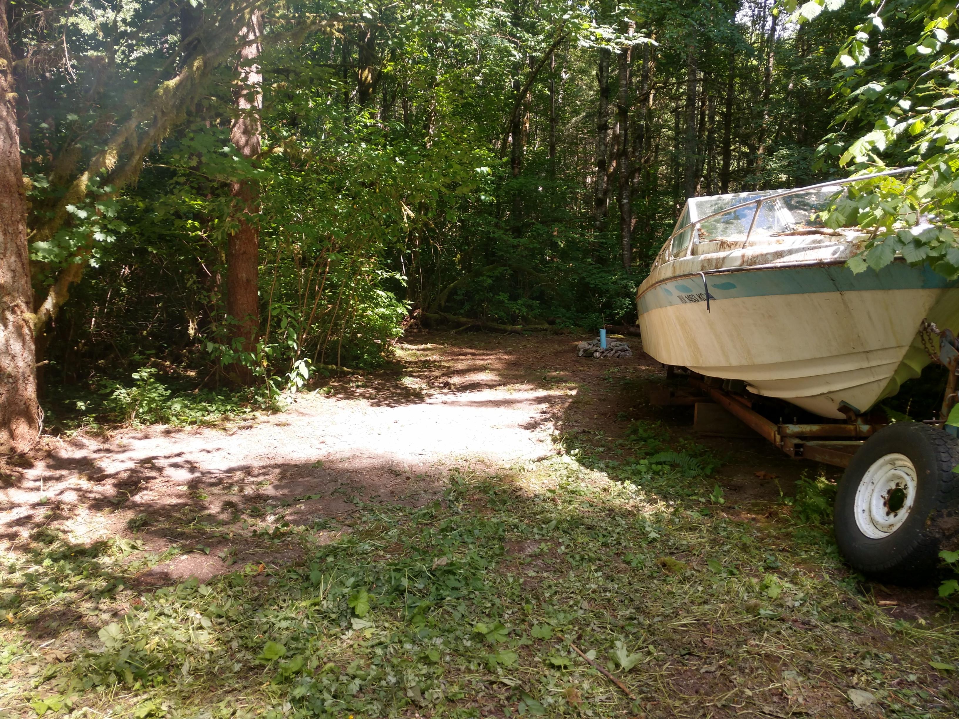 Hippie Forest