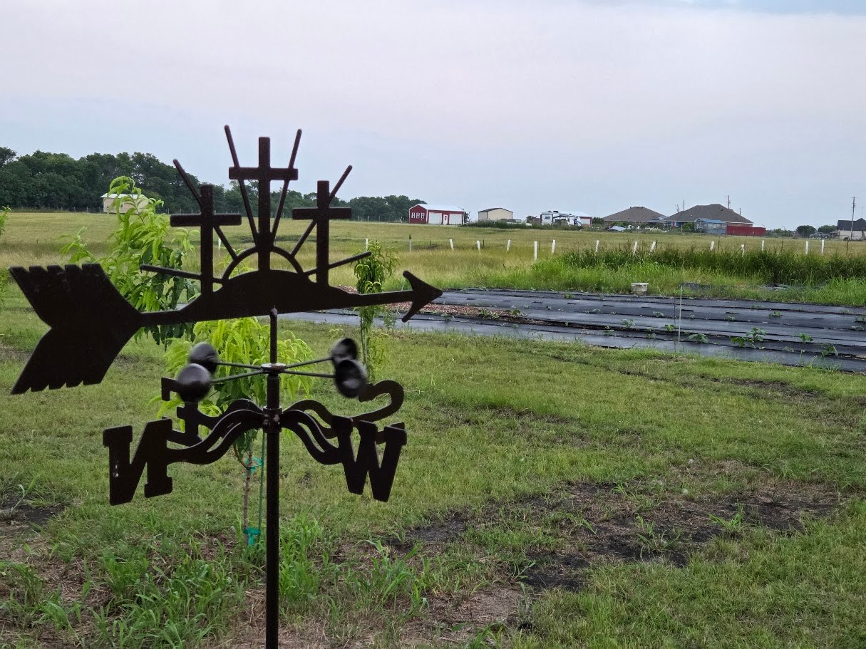 Grayson Farms Camping And Events