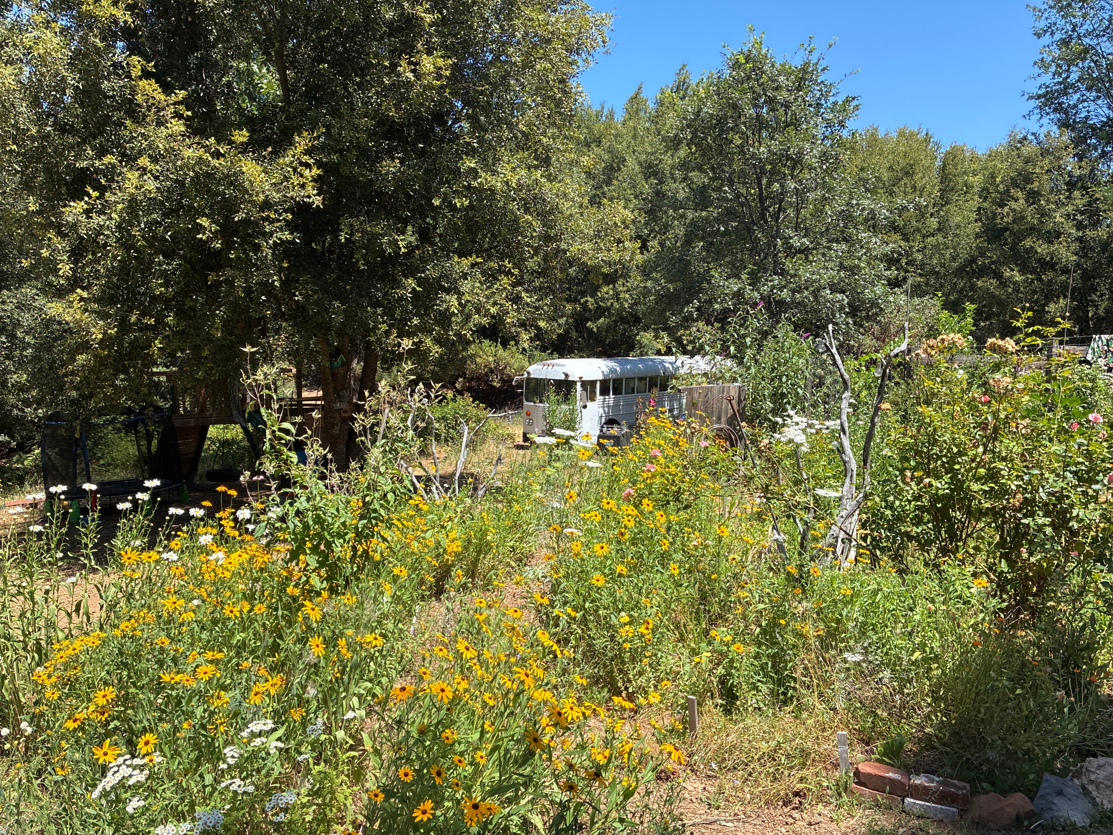 Mighty Farm & Camp