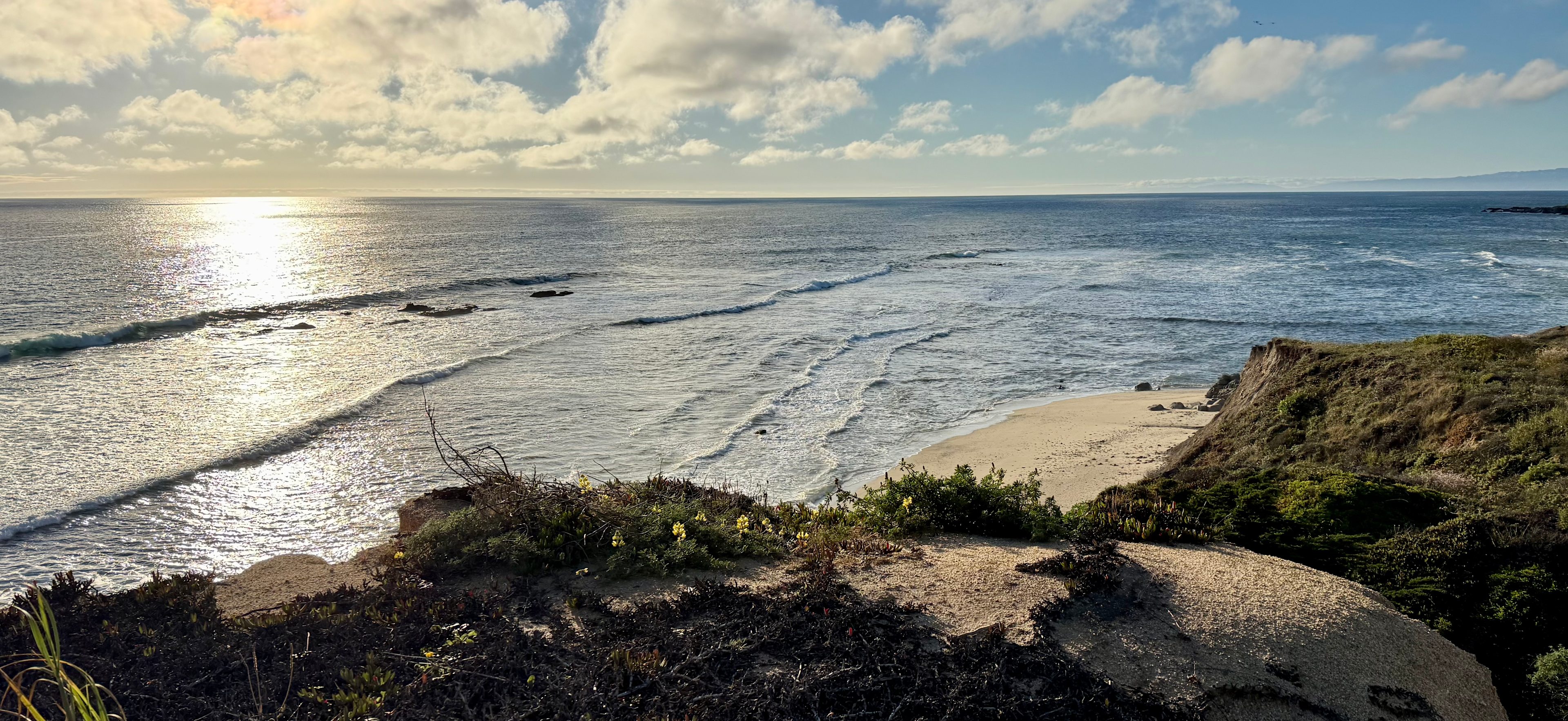 Ocean Cliffside Cottage Driveway
