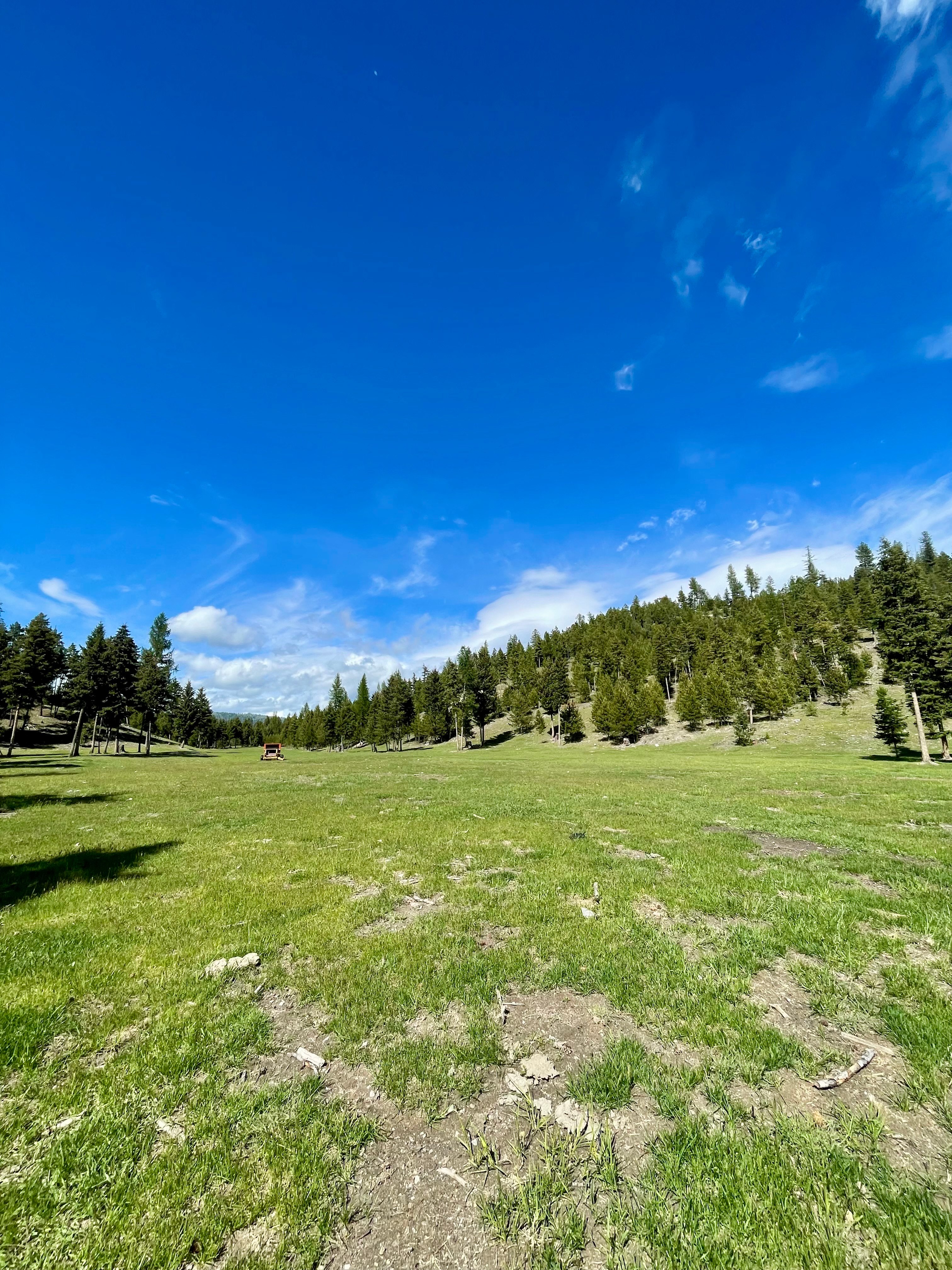 Blue Mountain Campsites