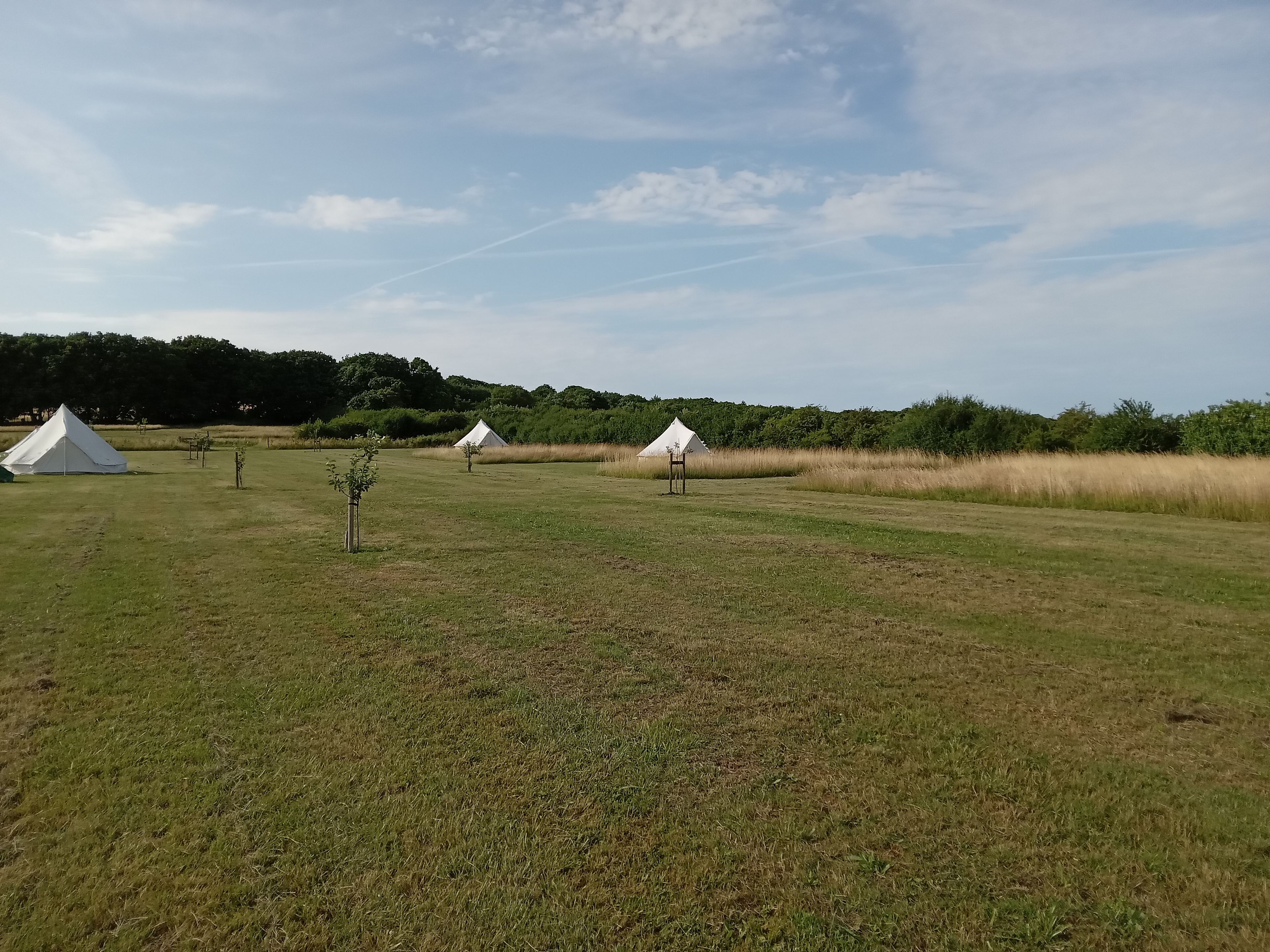 Chapter Farm Camping
