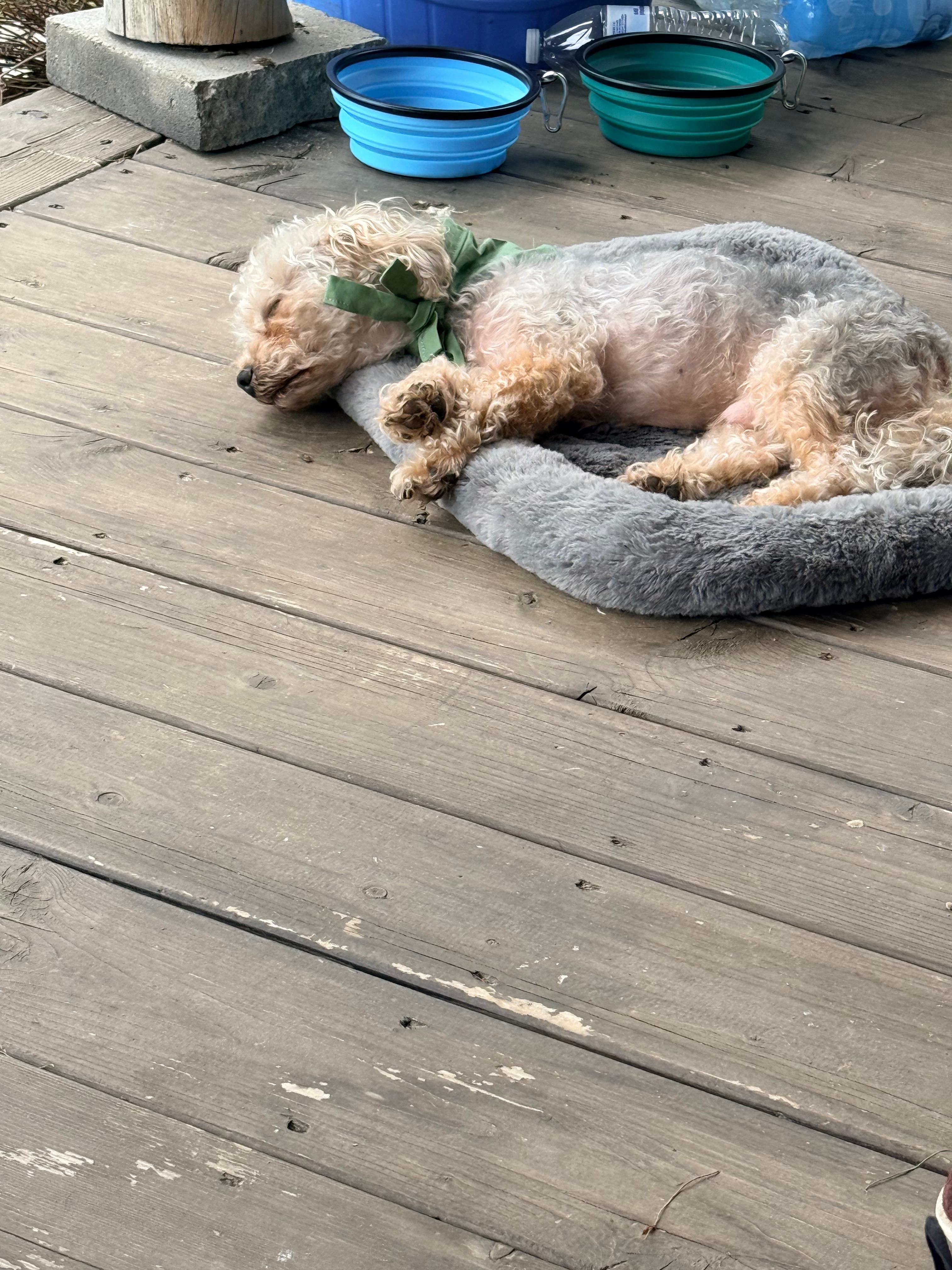 Lulu's 100 Acre Wood Cabin