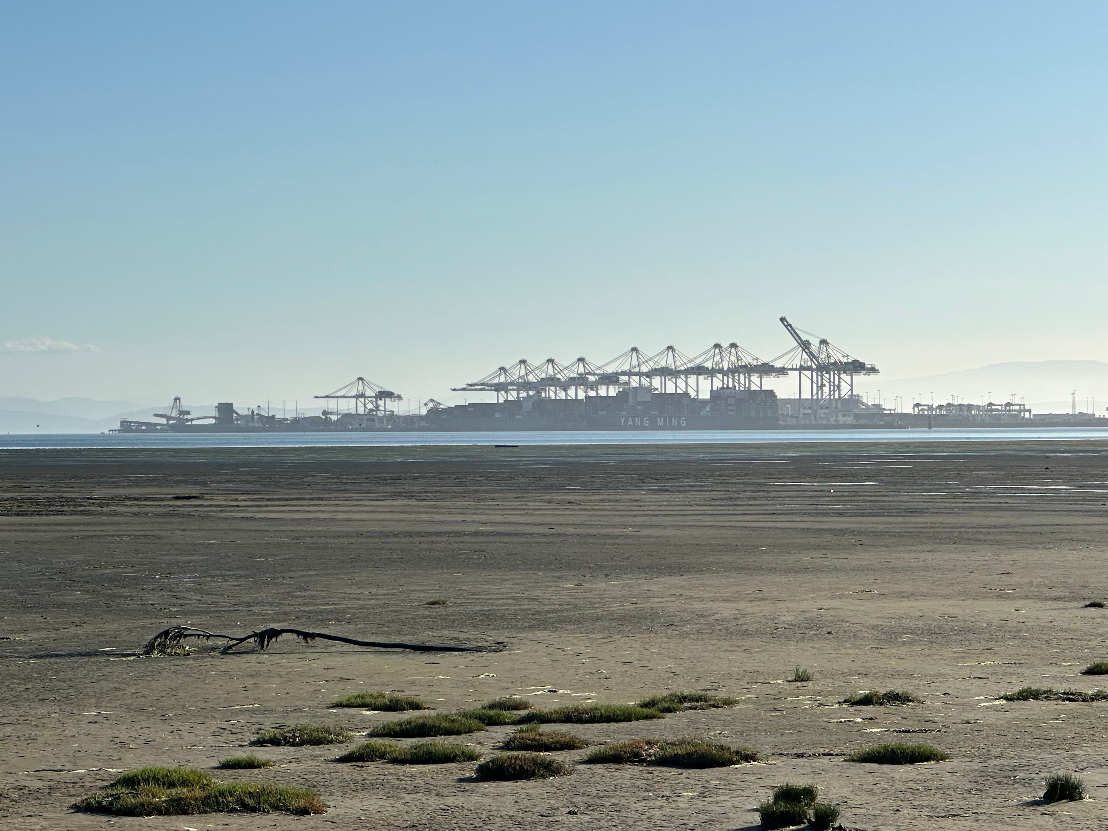 Oceans Edge Eagle Retreat