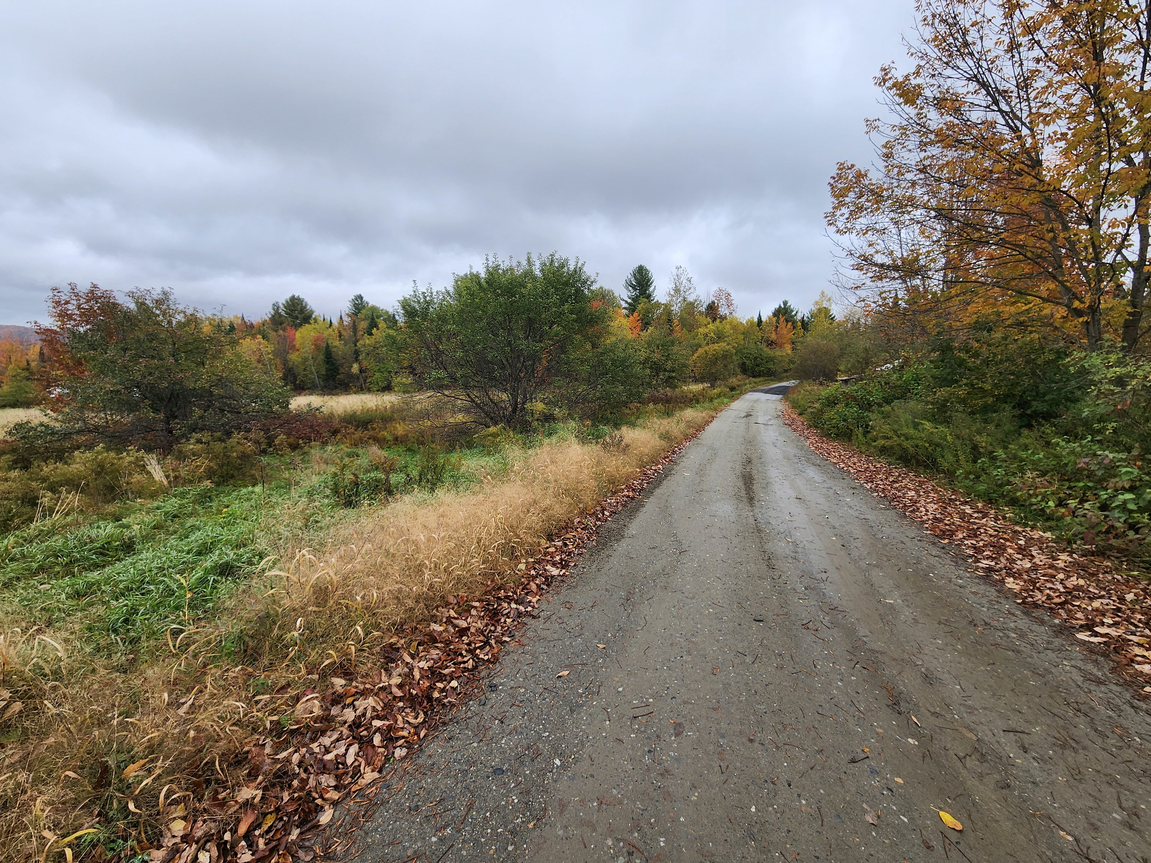 Wild North Farm & Primitive Camping