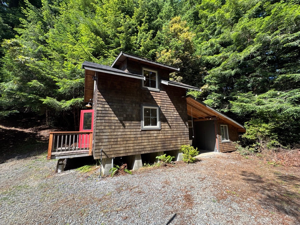 The Bird's Nest in the Redwoods