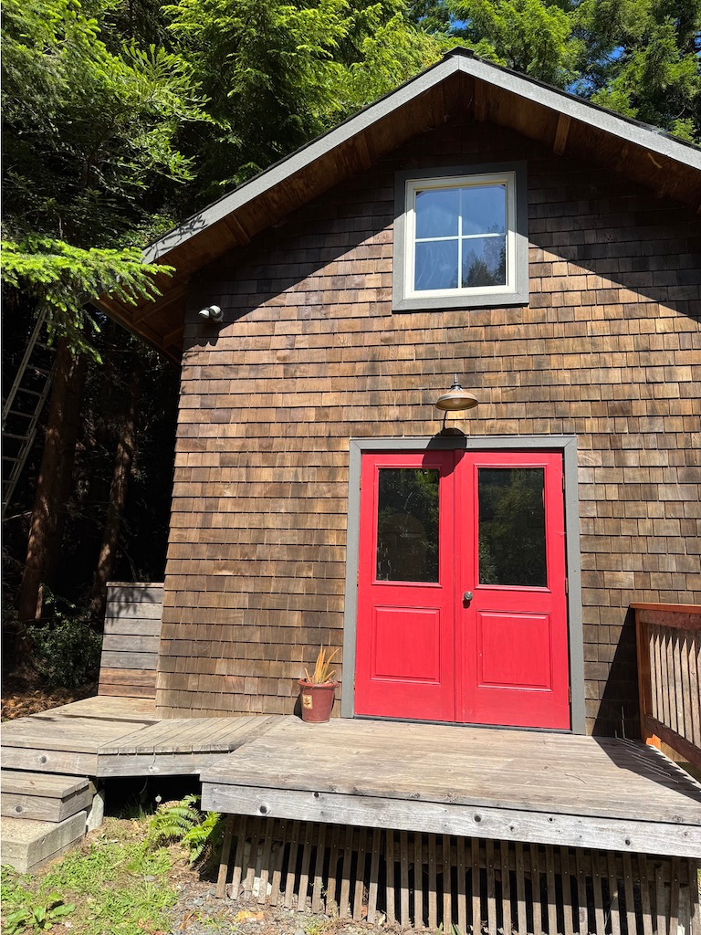 The Bird's Nest in the Redwoods