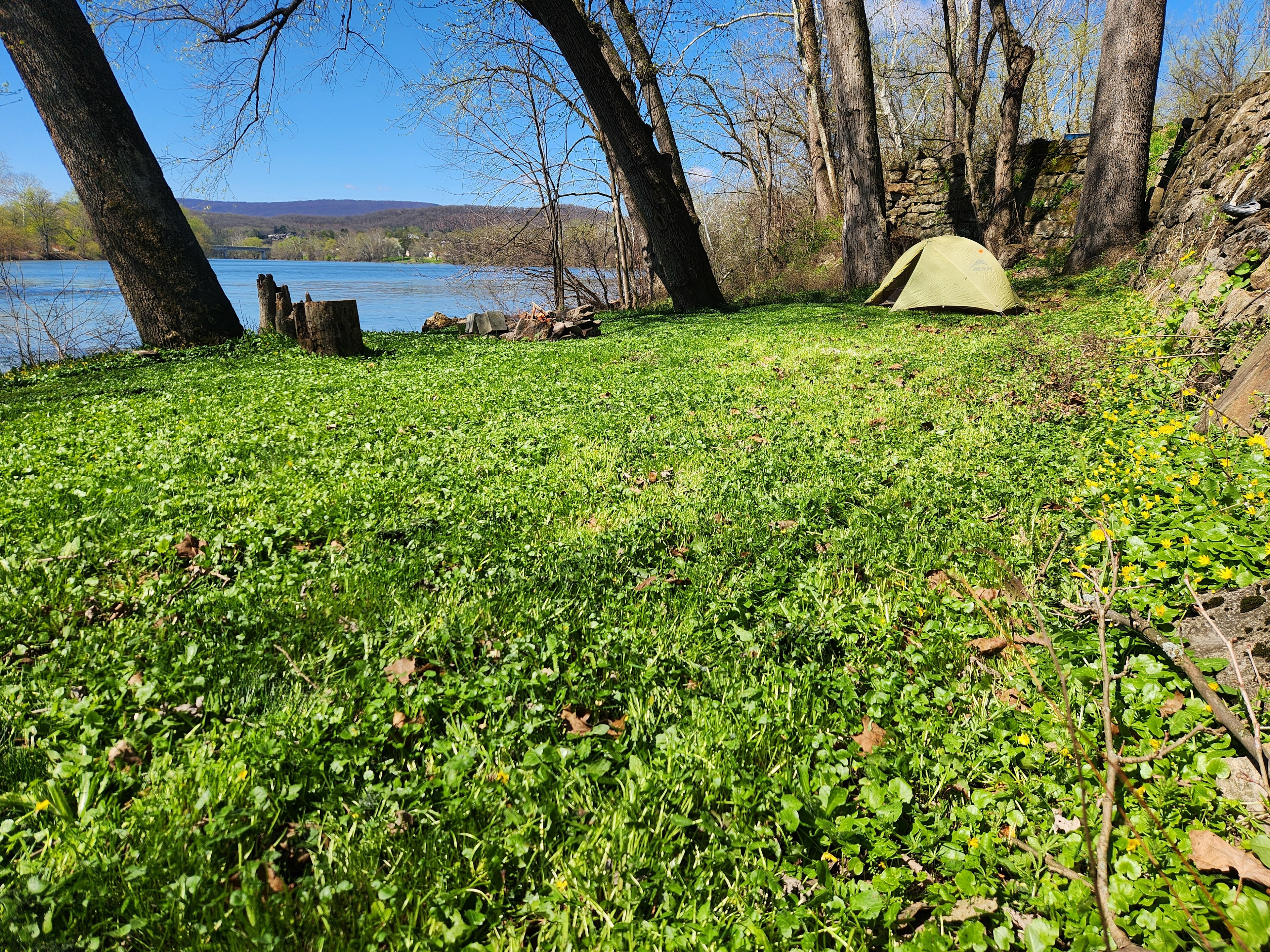 Juniata River Bank Campsite