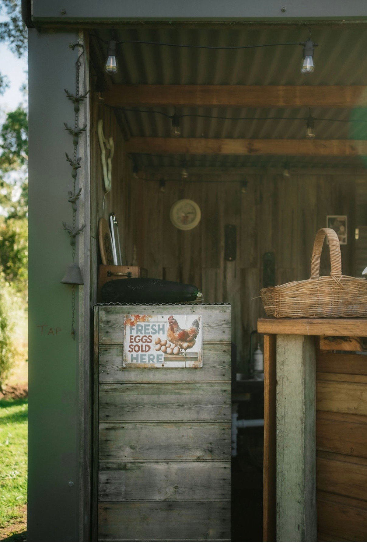 Galea Ranch