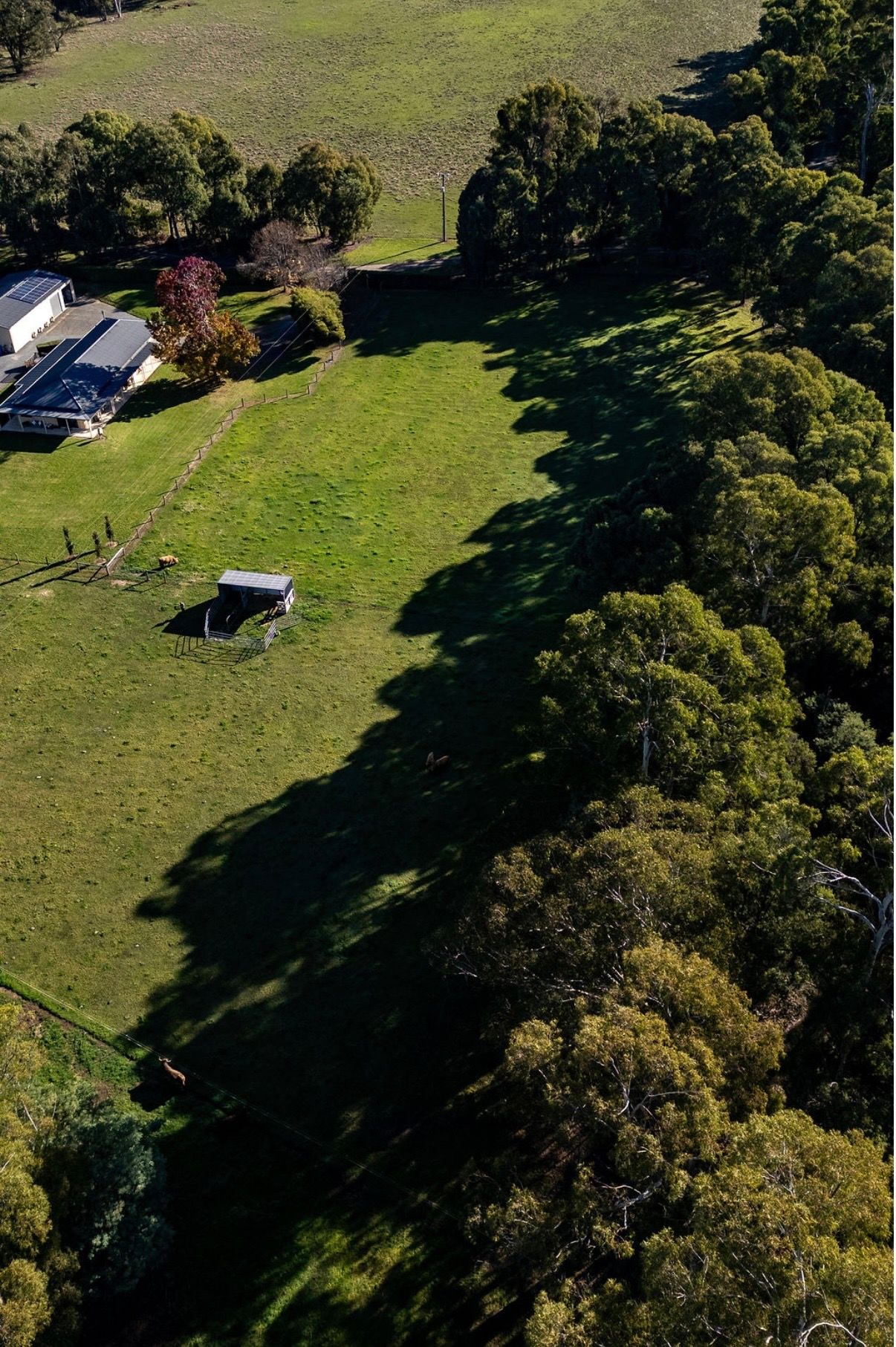 Galea Ranch