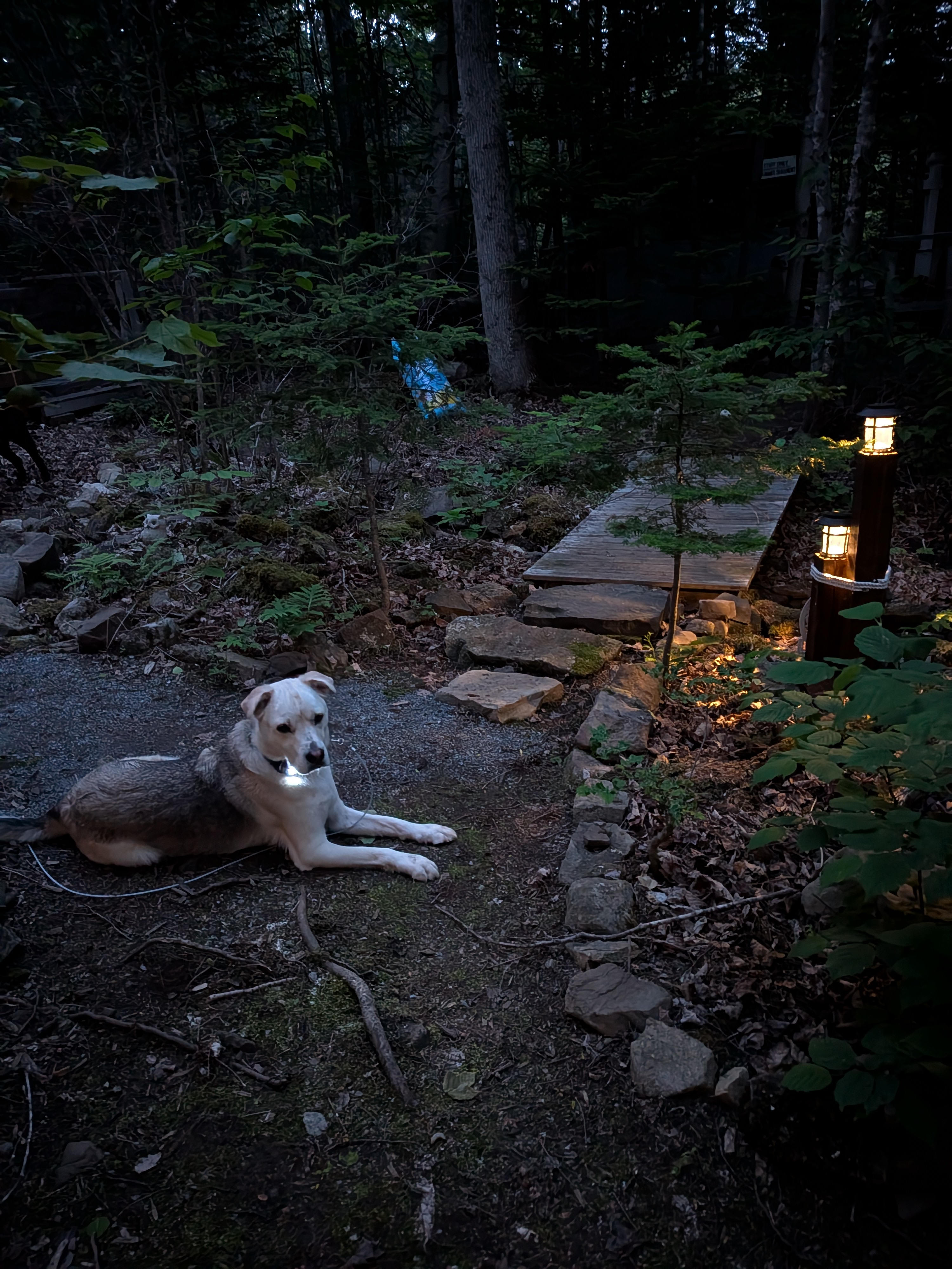 Cedar Camp Ridge