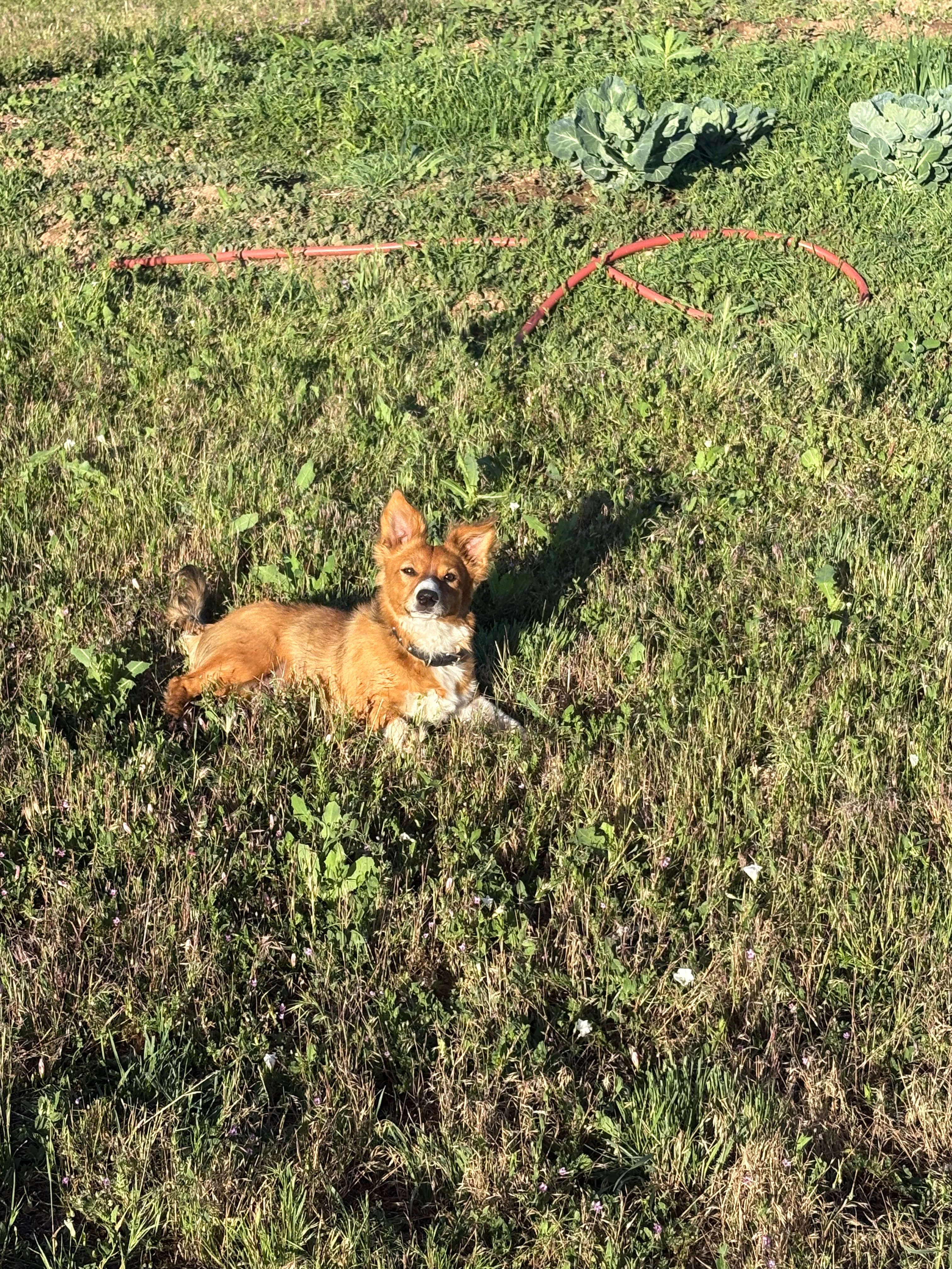 Site Manager, Oscar 