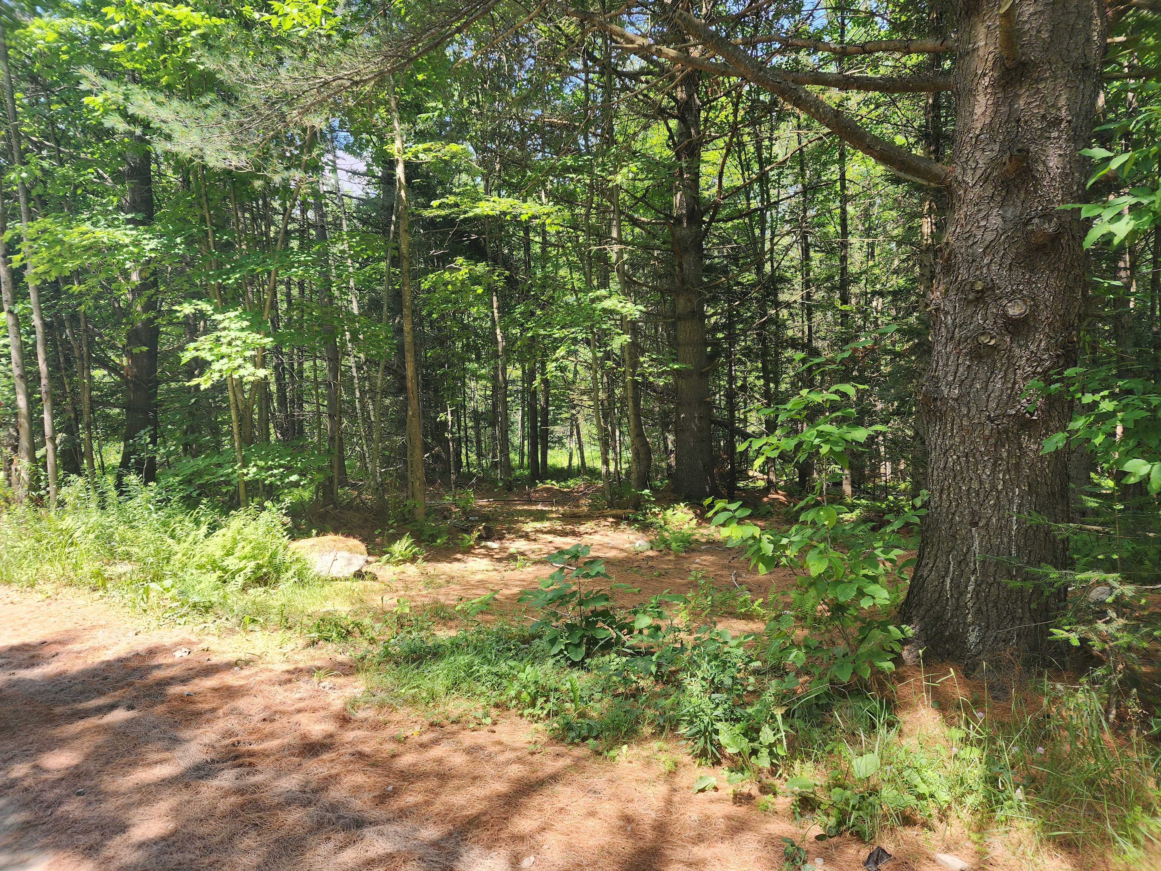 Wild North Farm & Primitive Camping
