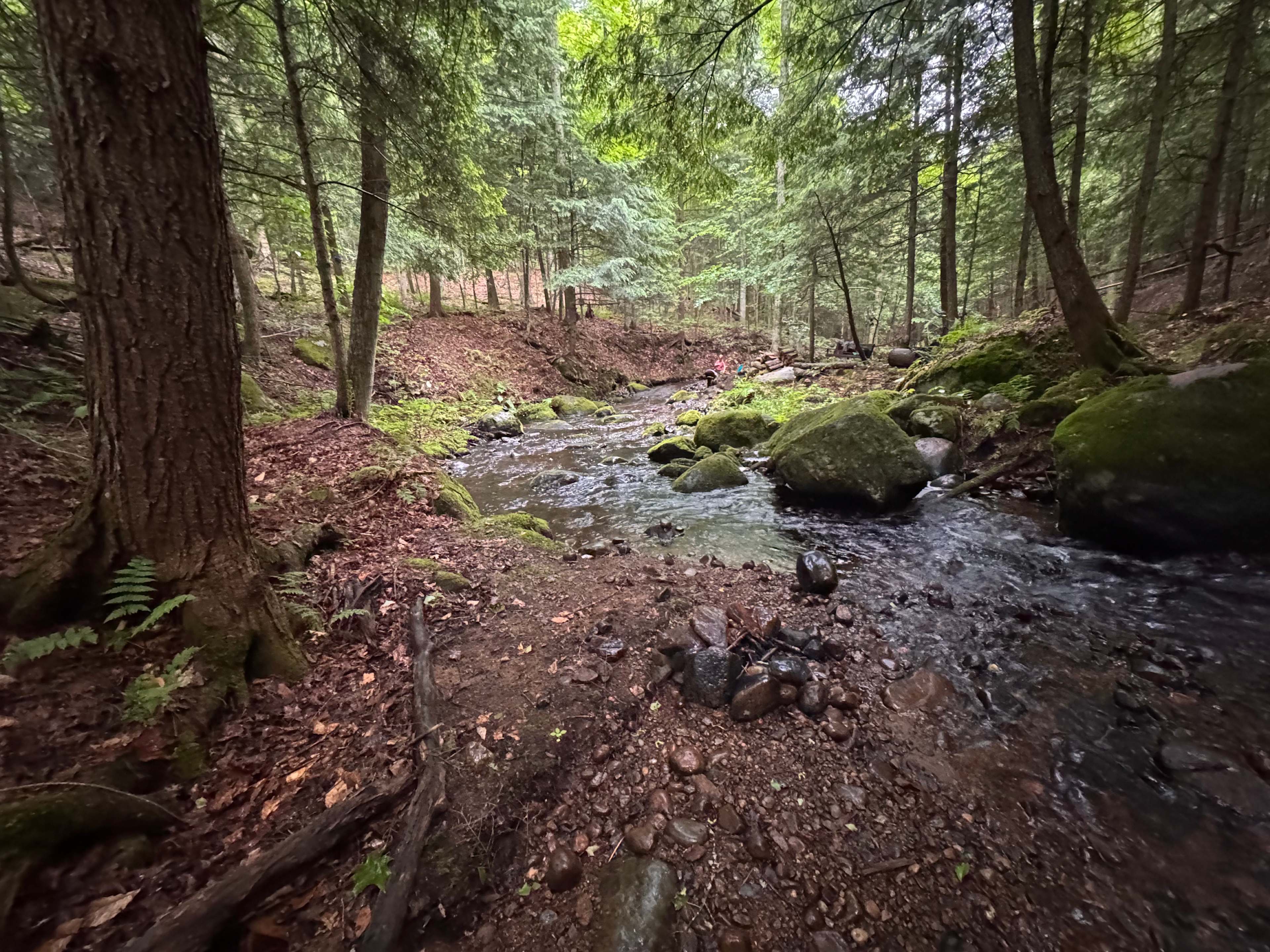 Moss & Stone Creek