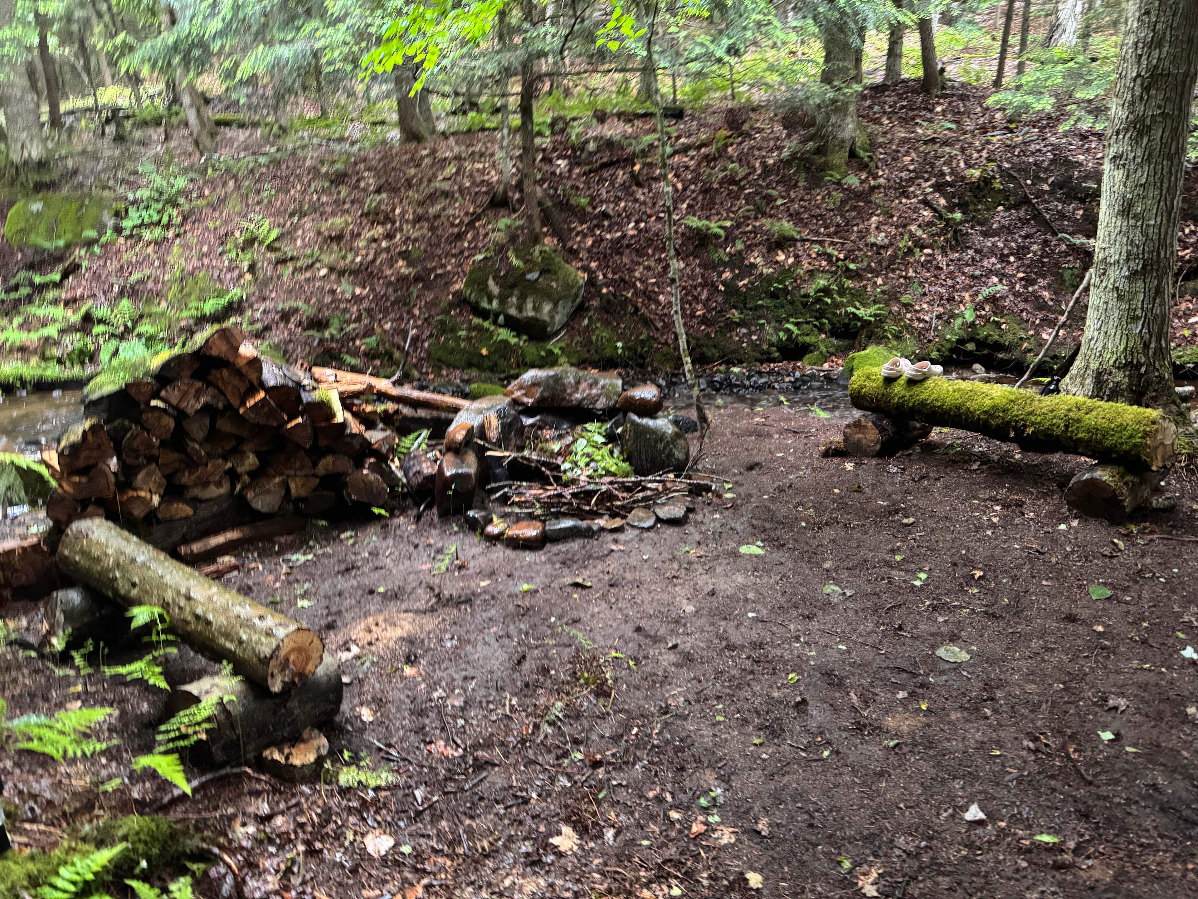 Moss & Stone Creek